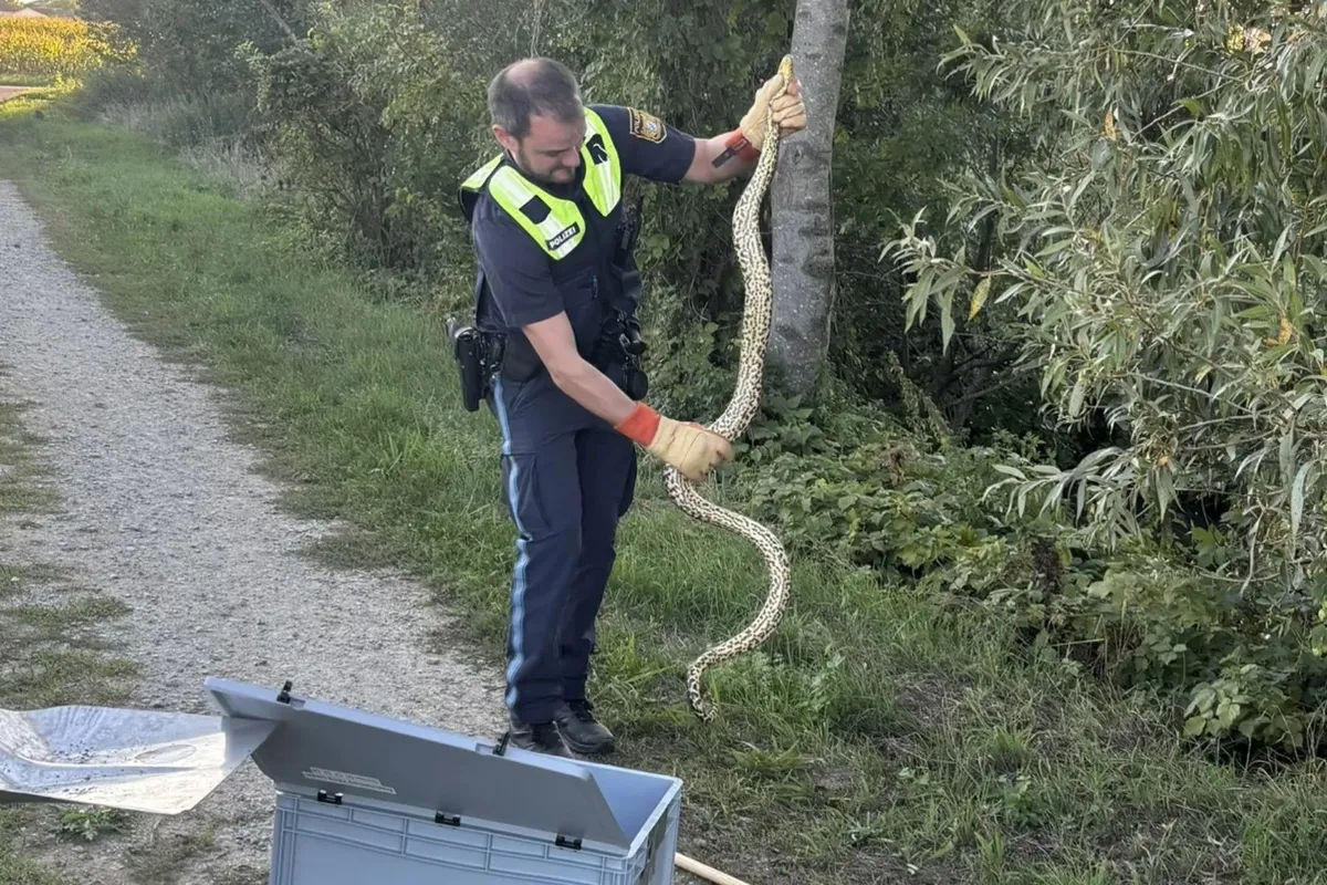 Sprehod ob Donavi se je končal z nepričakovanim odkritjem (FOTO)