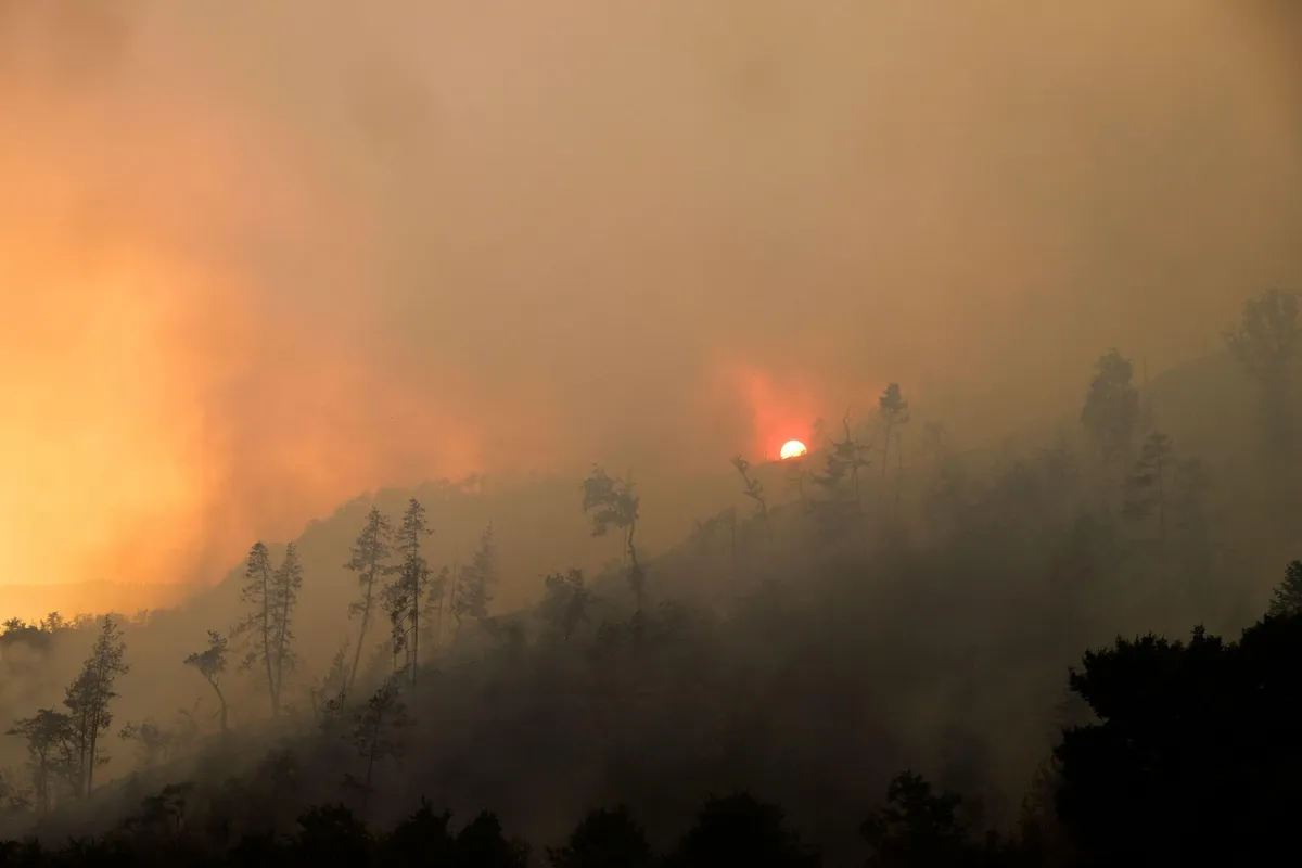 El niño Godzilinih razsežnosti: "Planet je v neraziskanih vodah"