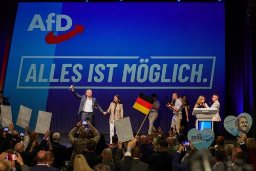 AfD po volitvah