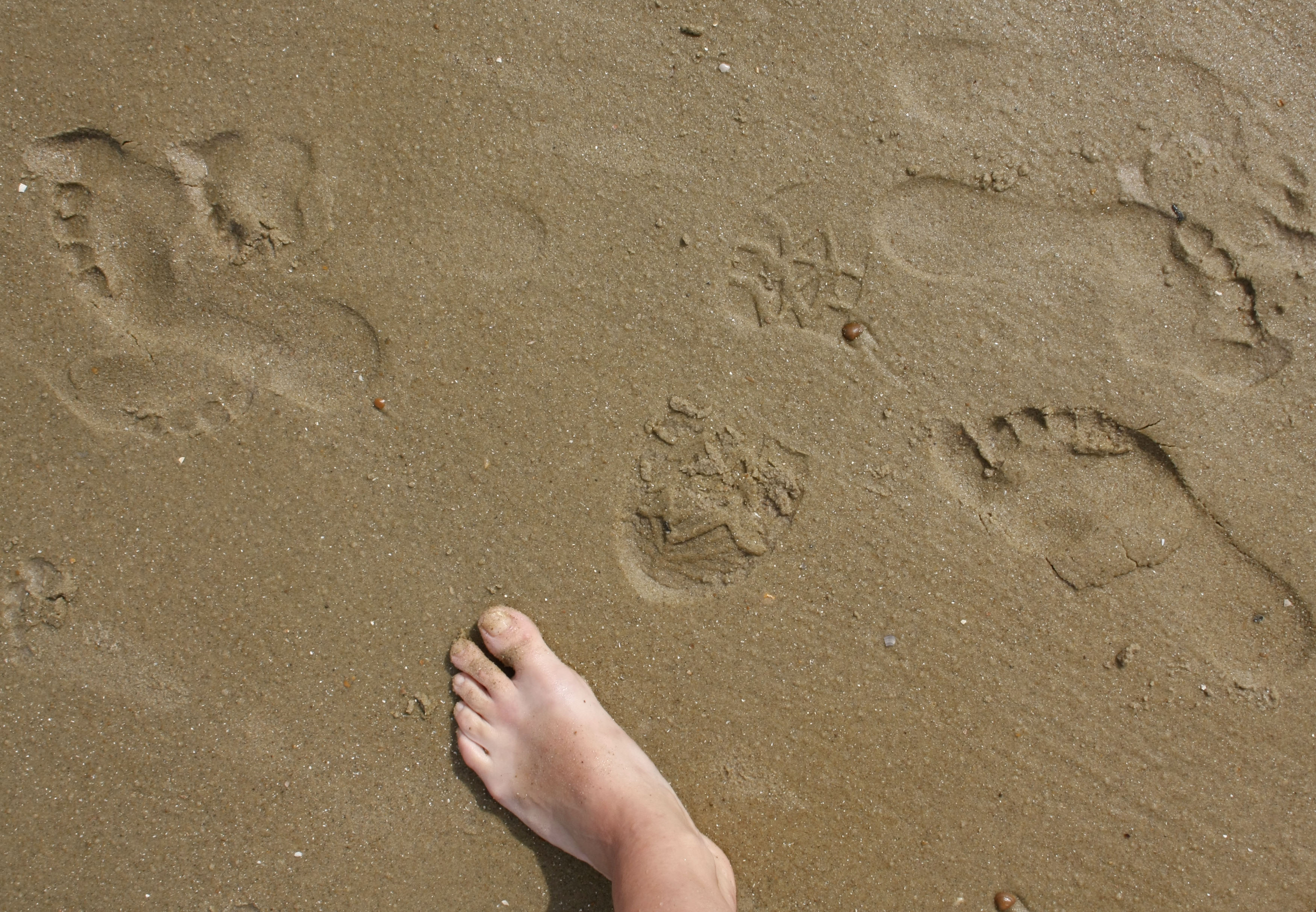 PLAZA DETAJL ODTISI MIVKA