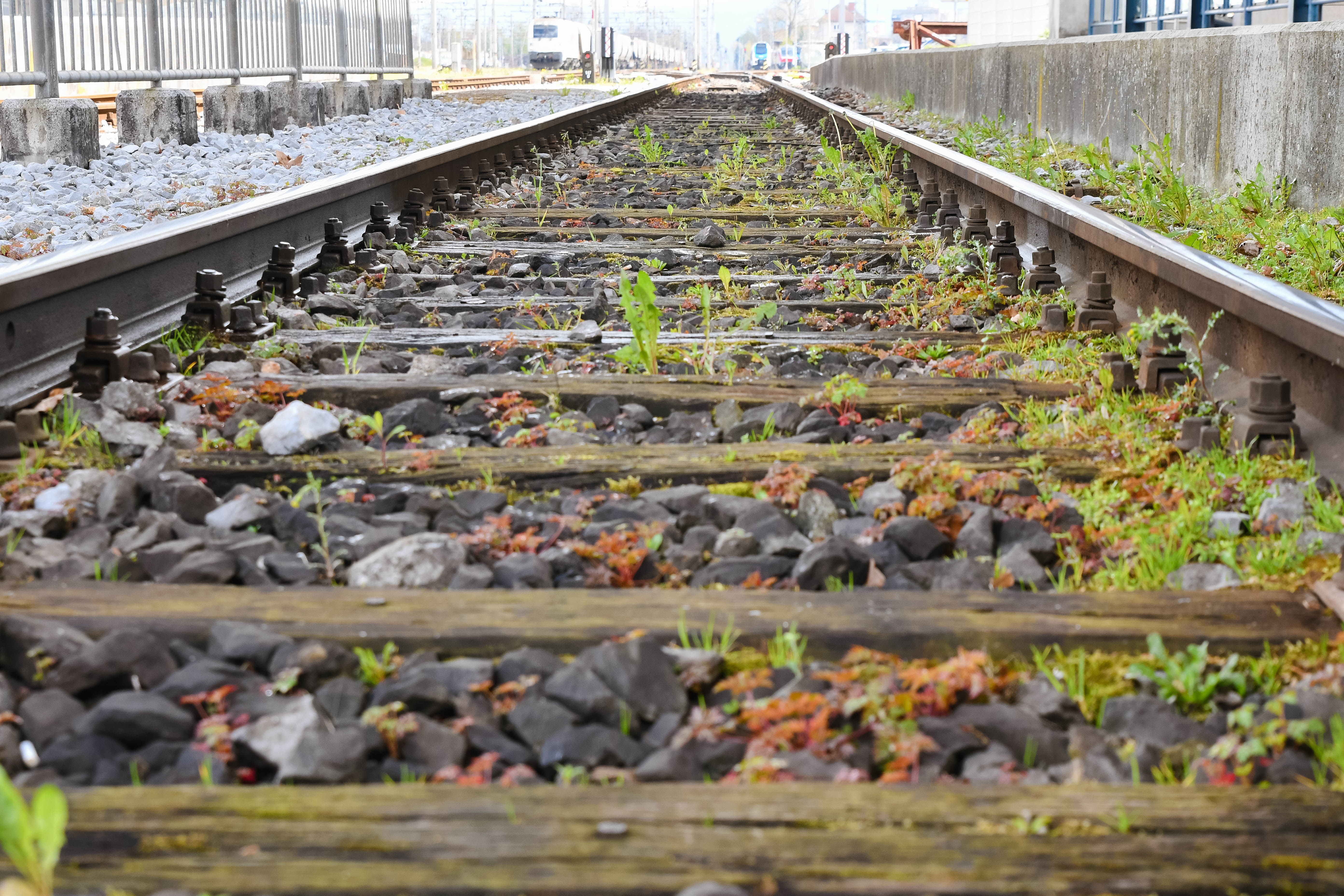 proga,tračnice,kamenje