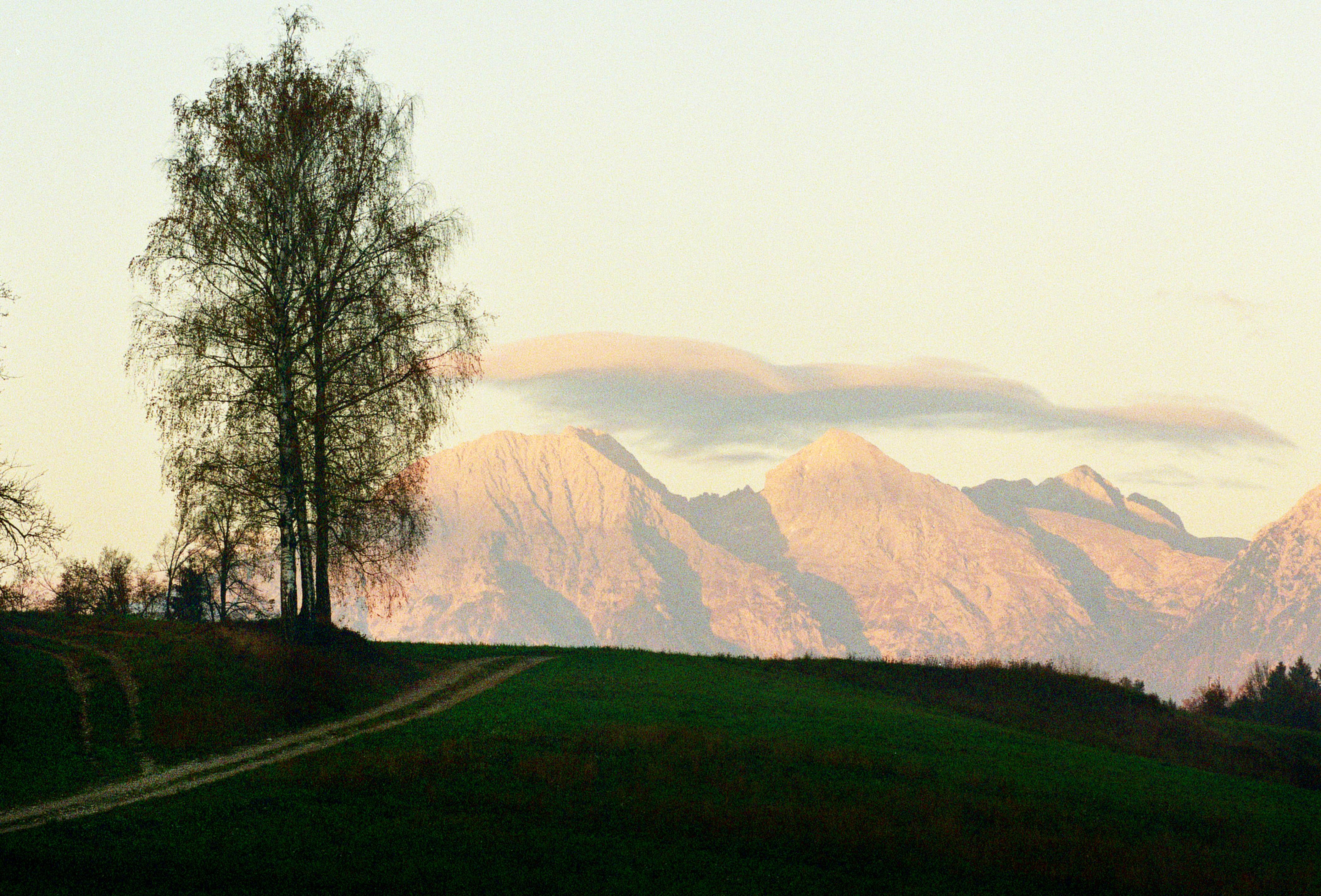 narava, drevesa, hribi, vreme, oblak, gore