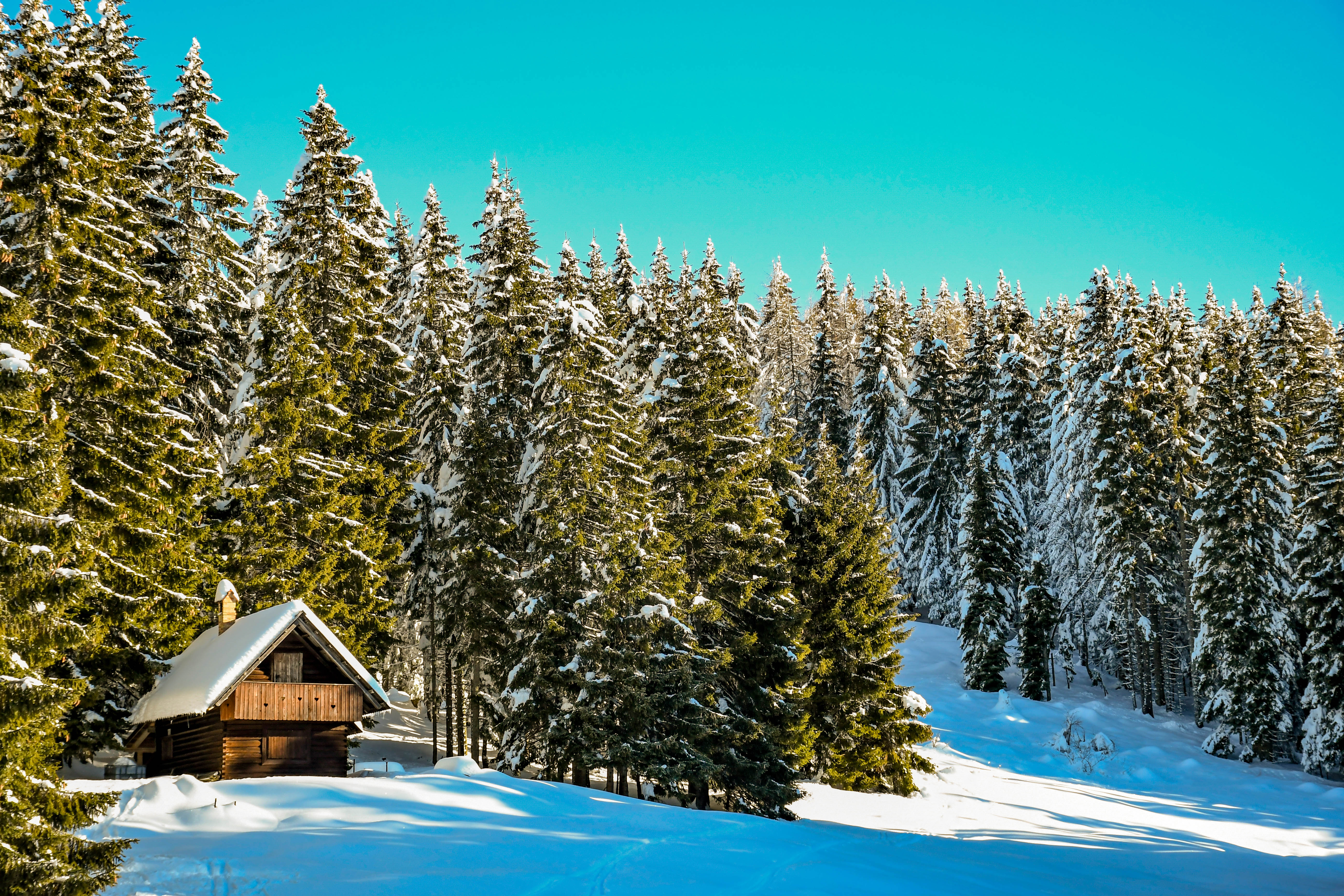 sneg,zima,koča,hribi