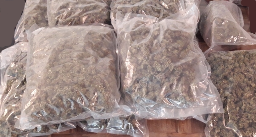 kriminalistična preiskava