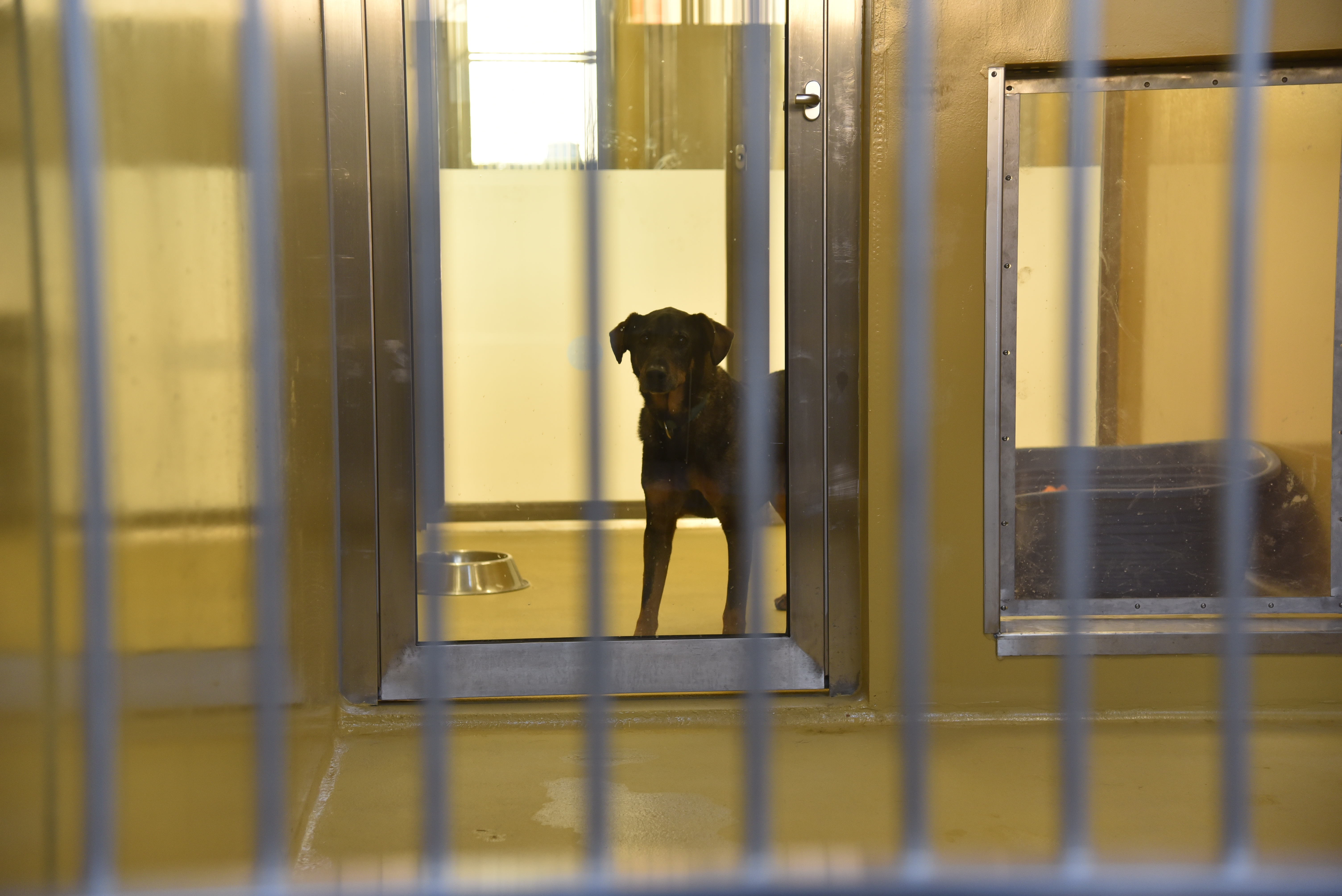 zavetišča za živali