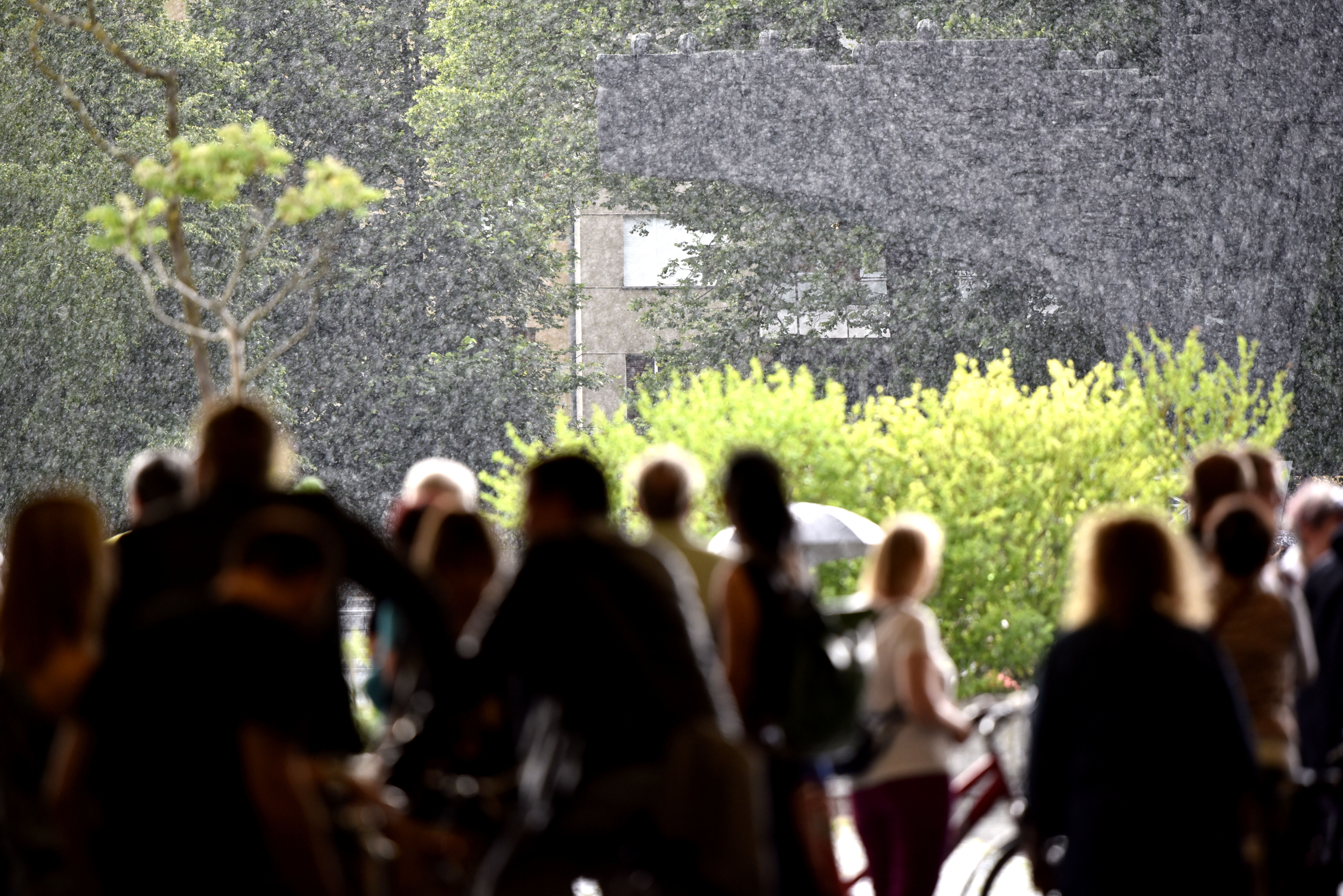 protest, vlada, petek, pahor