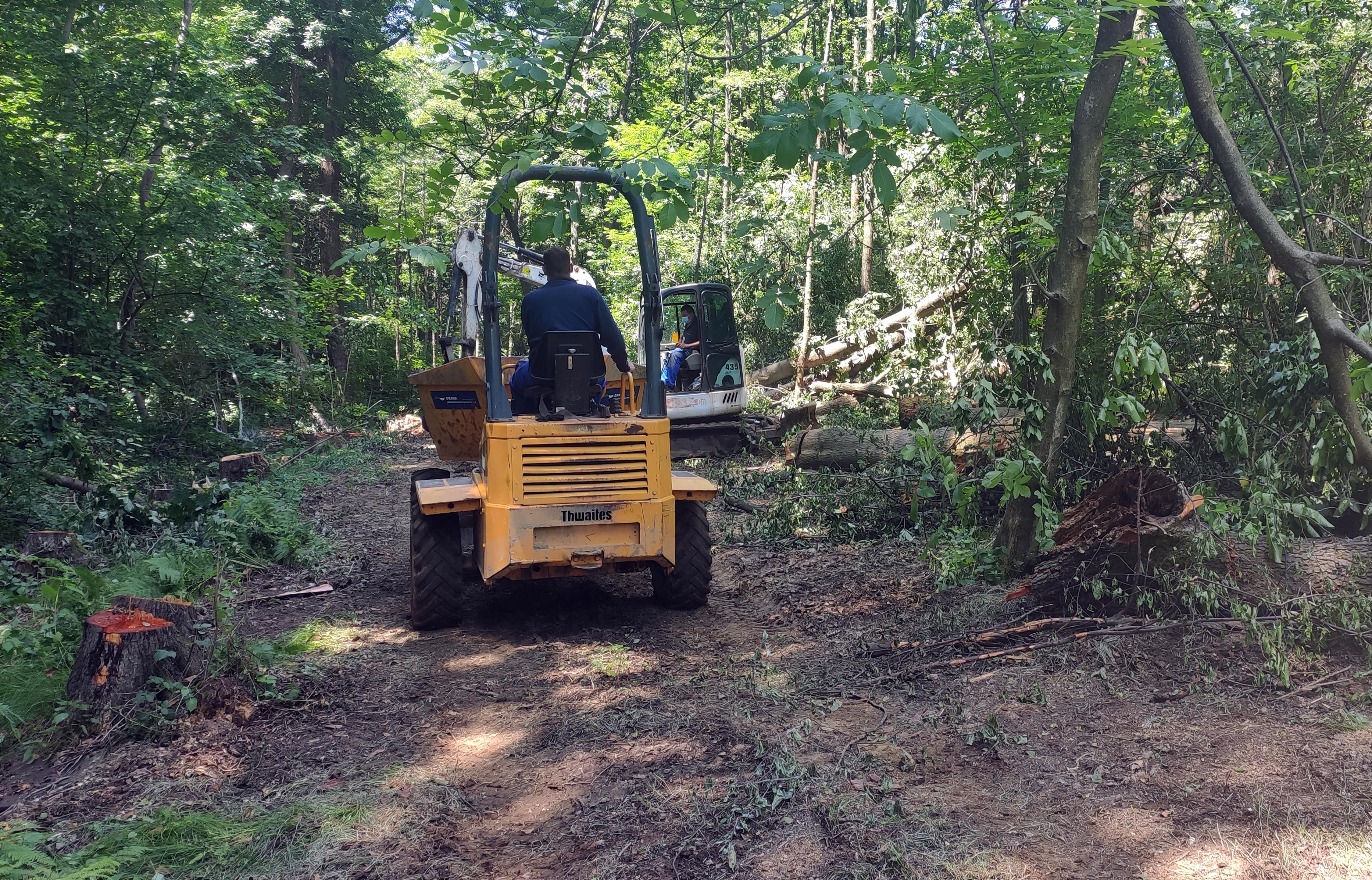 blato, onesnaženje, Hoče