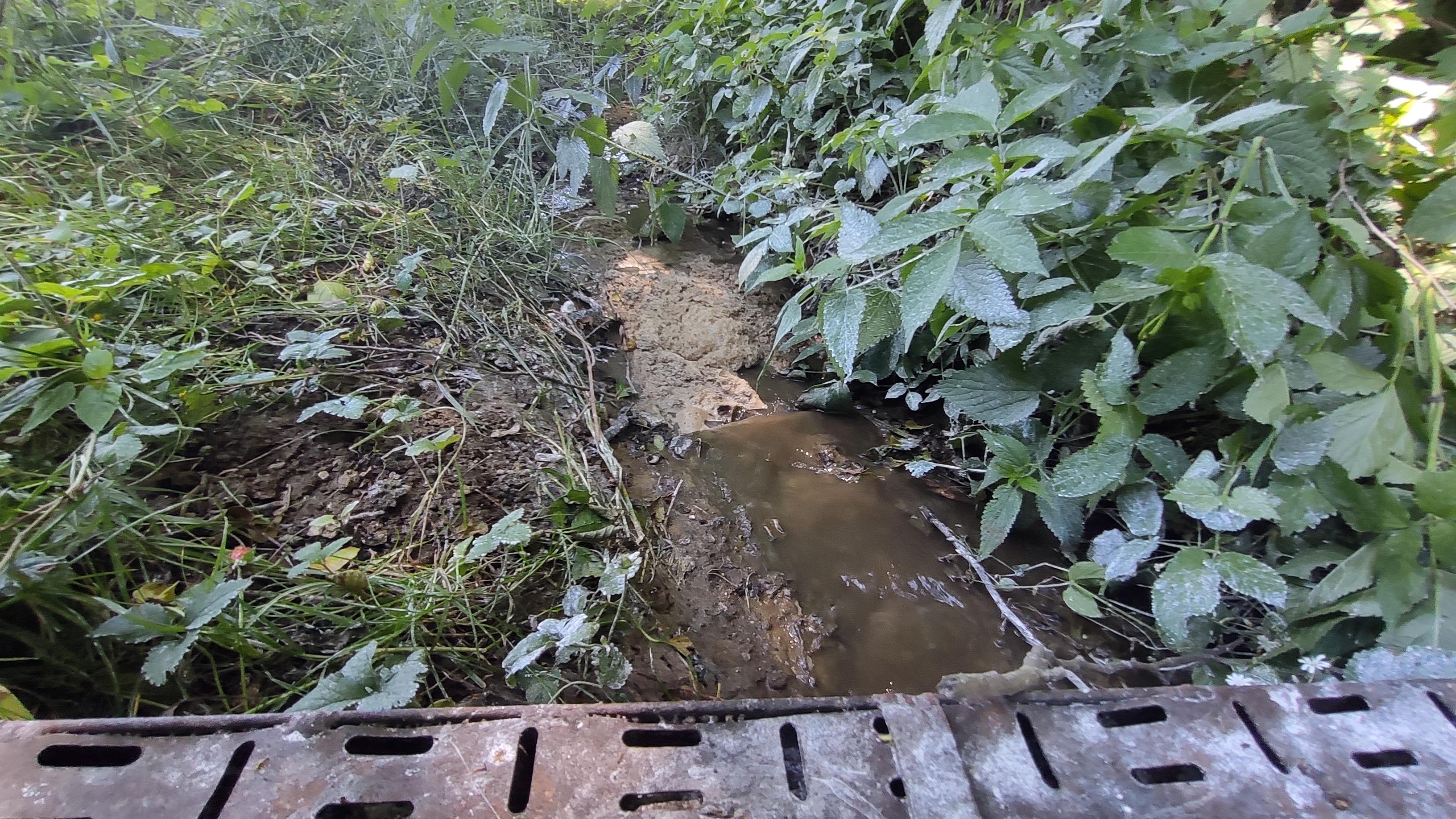 blato, onesnaženje, Hoče