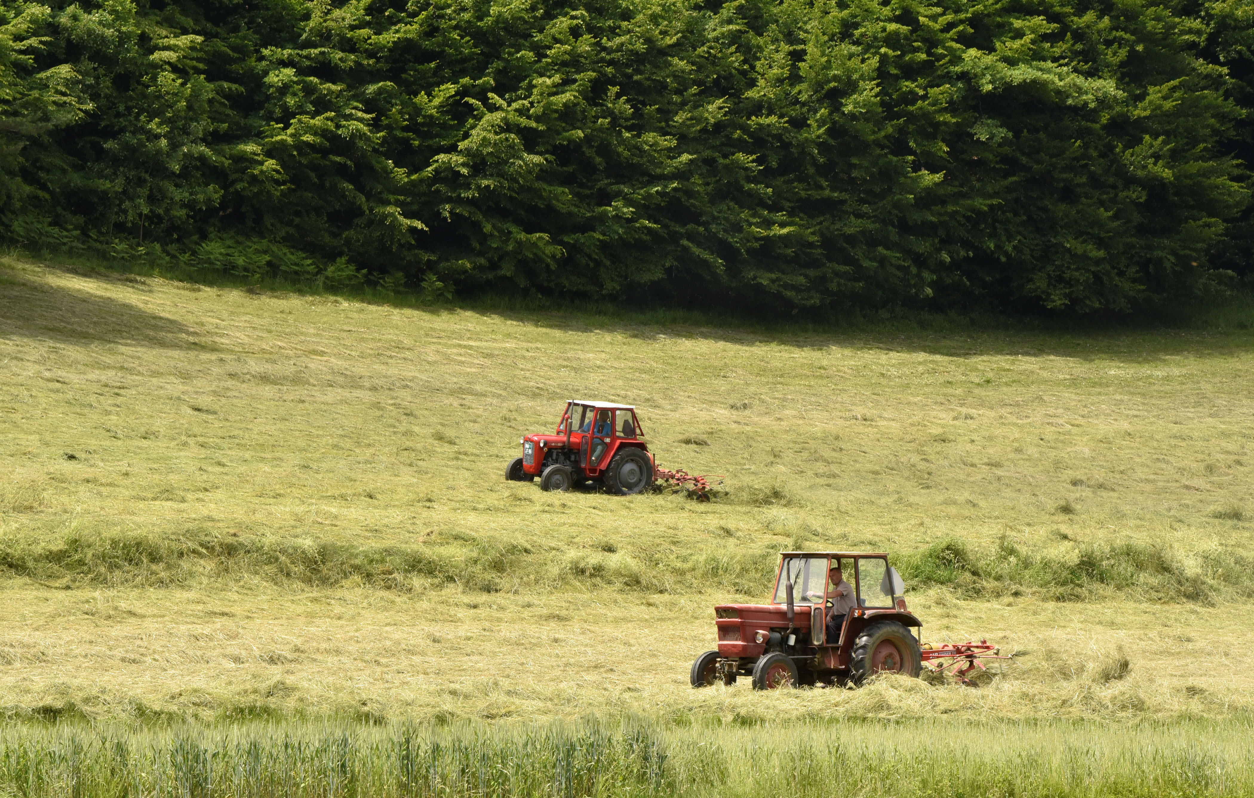 Seno obračanje traktor krma
