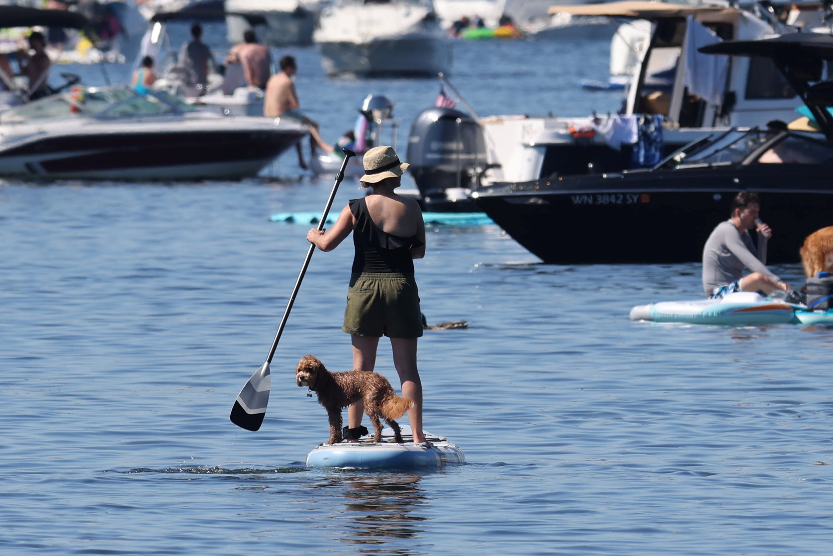 vročinski val, zda, vročina, morje