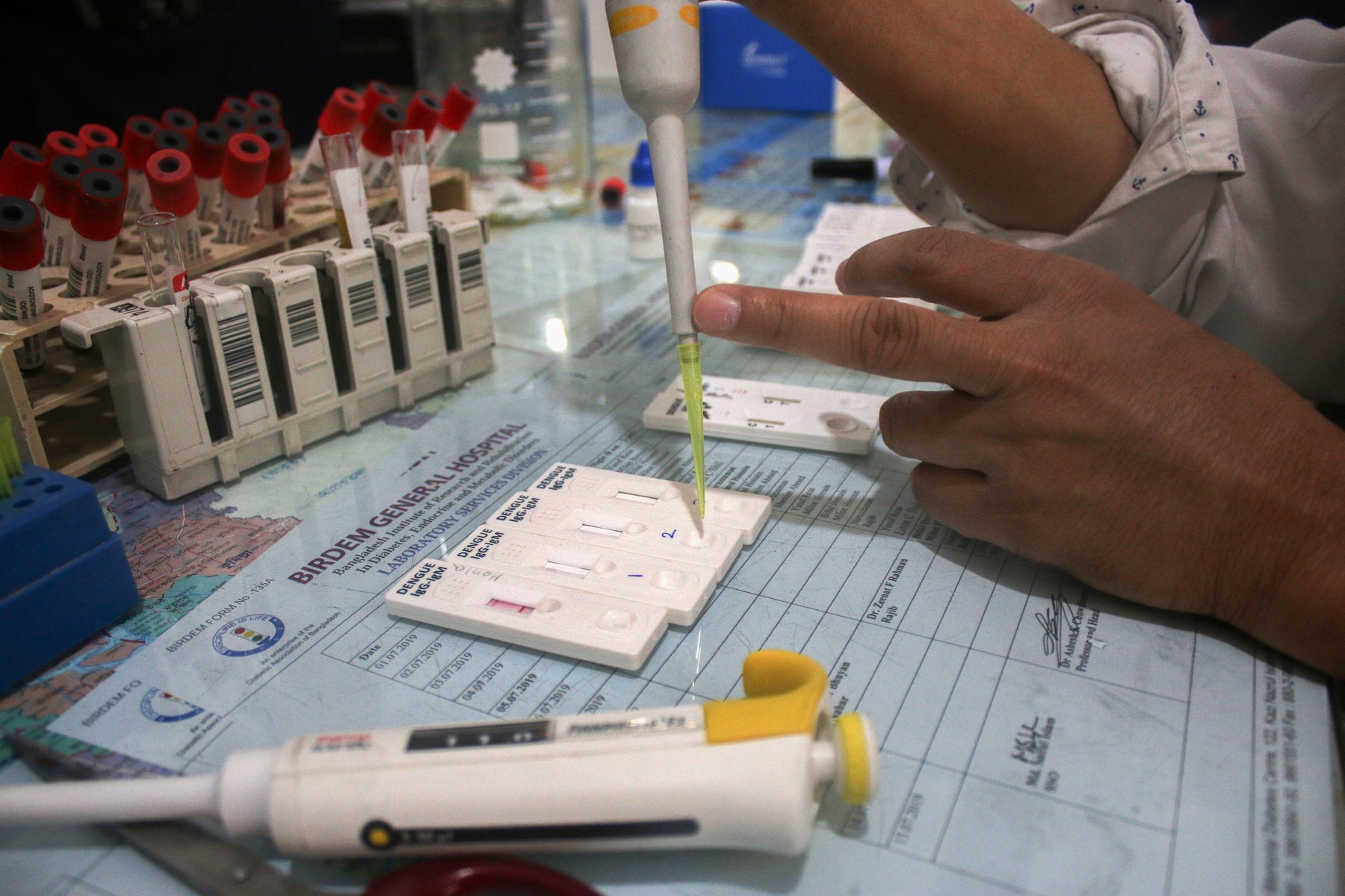 komarji, virus denga, laboratorij