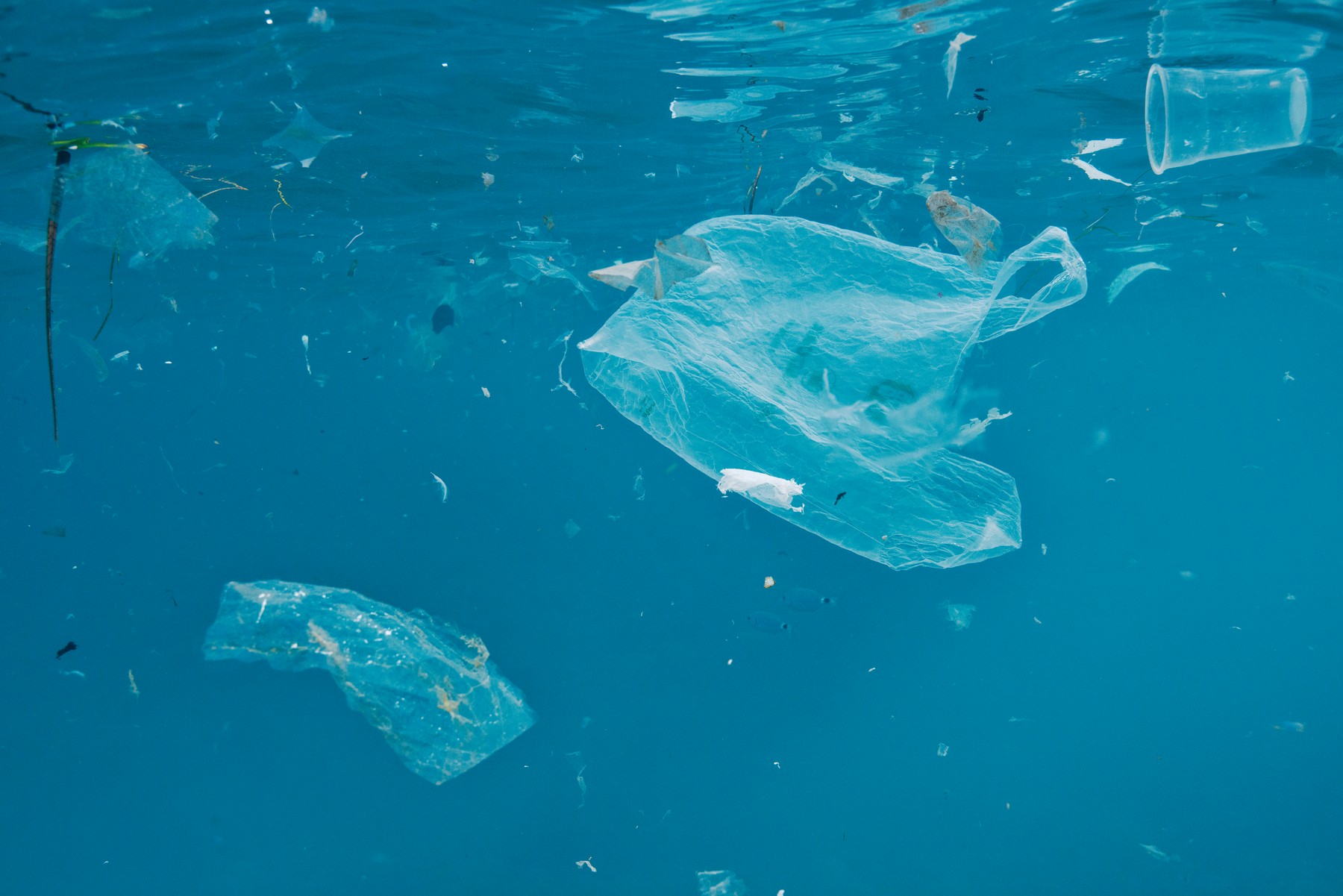 plastični izdelki za enkratno uporabo