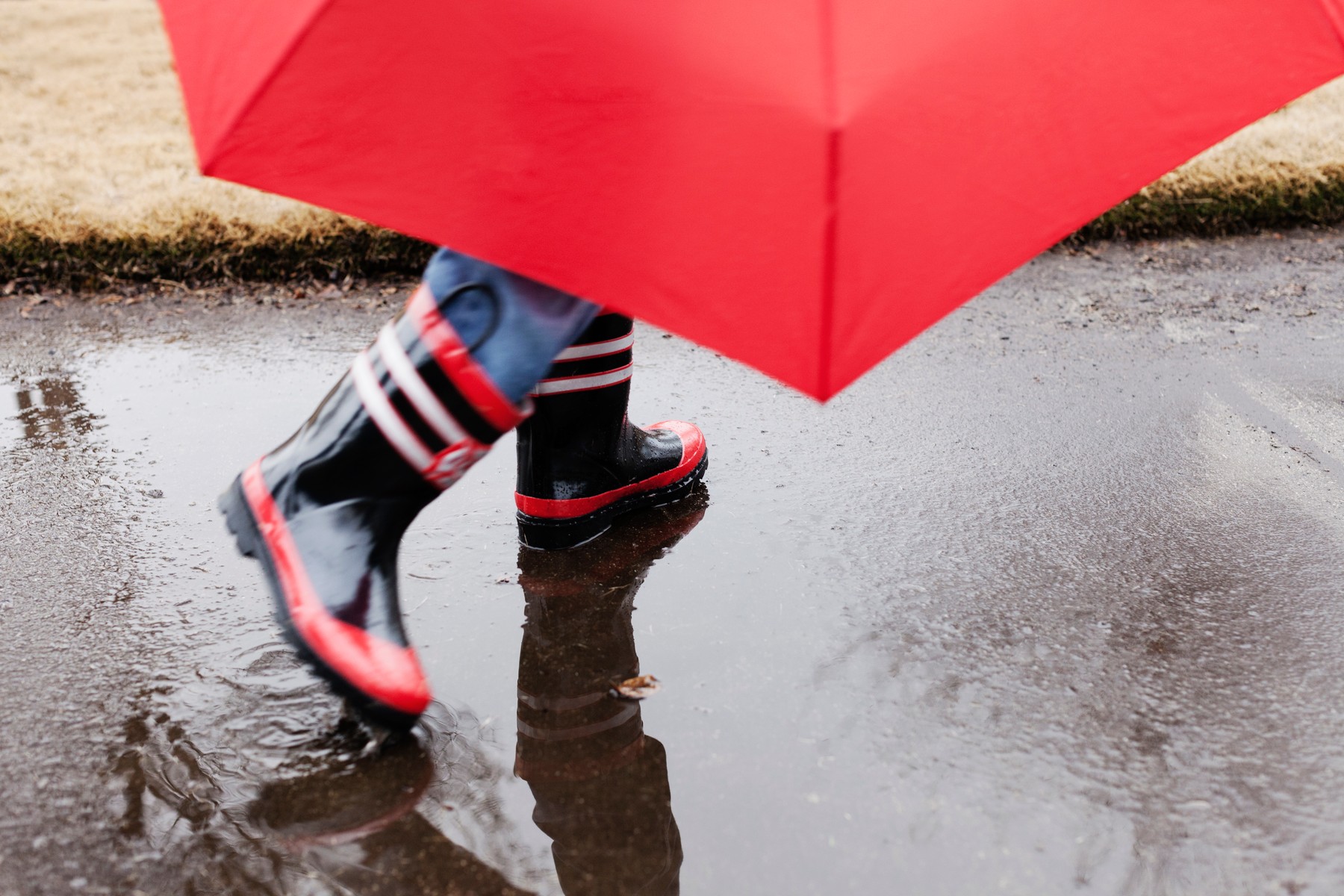 dež, dežnik, ploha, dežni škornji, luža