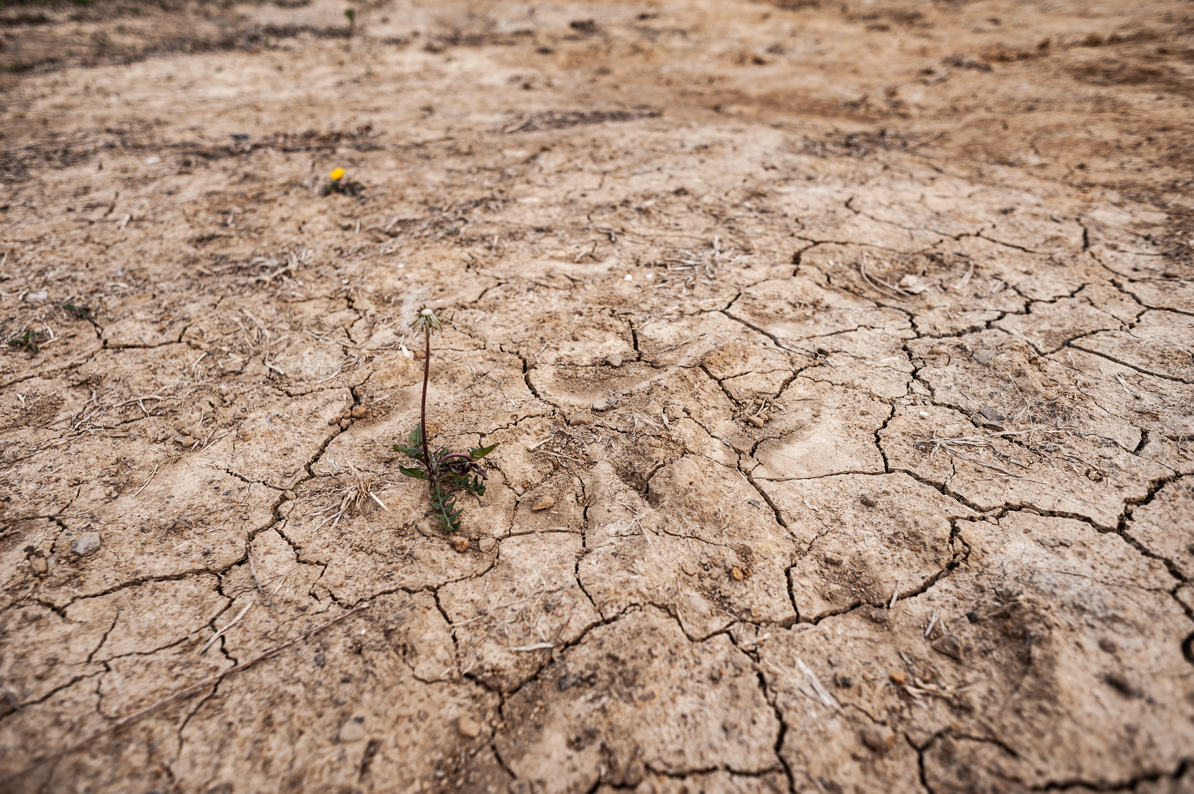 Ekstremna suša na jezeru Vogršček