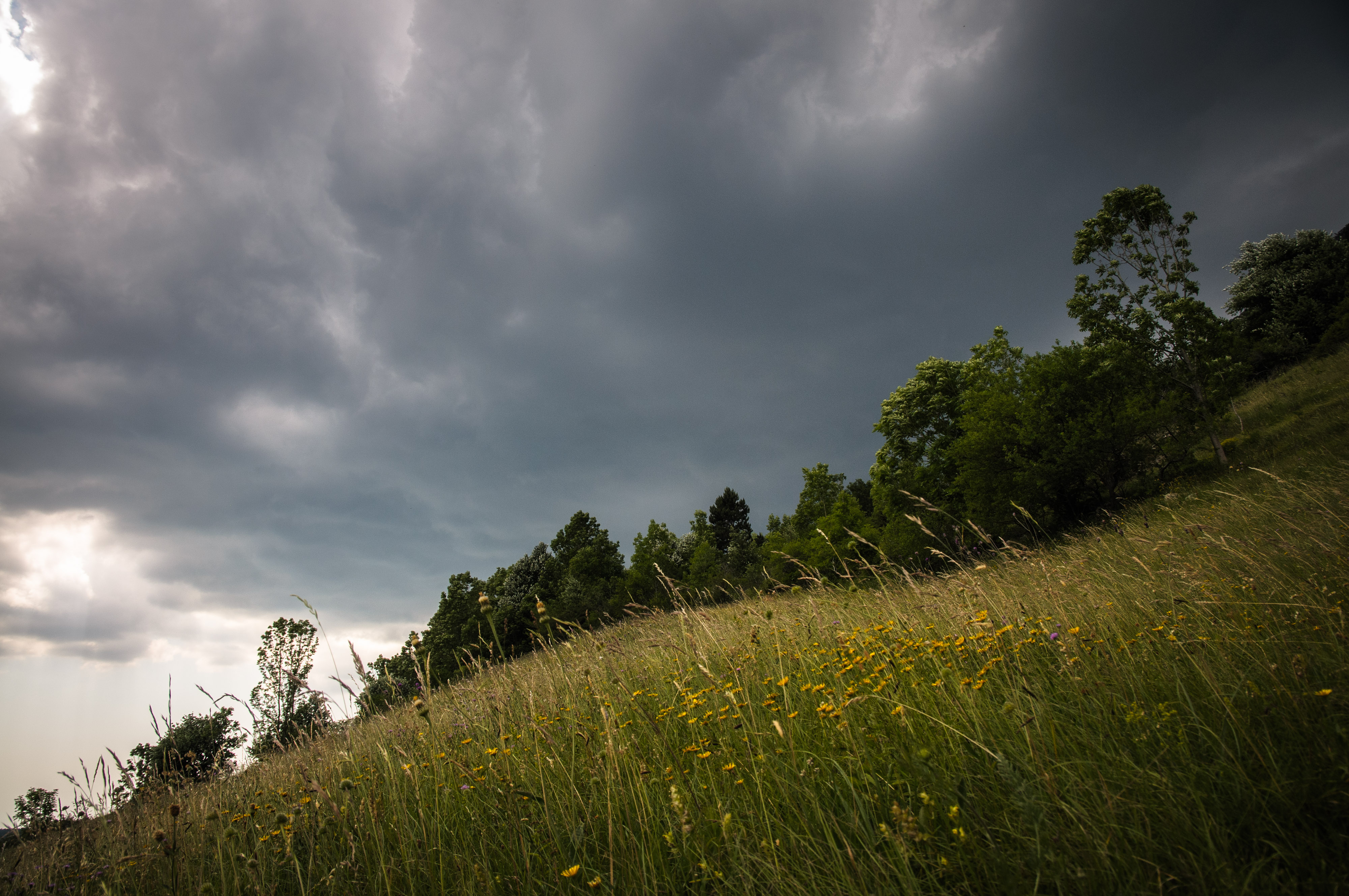 oblaki, nevihta, travnik, narava