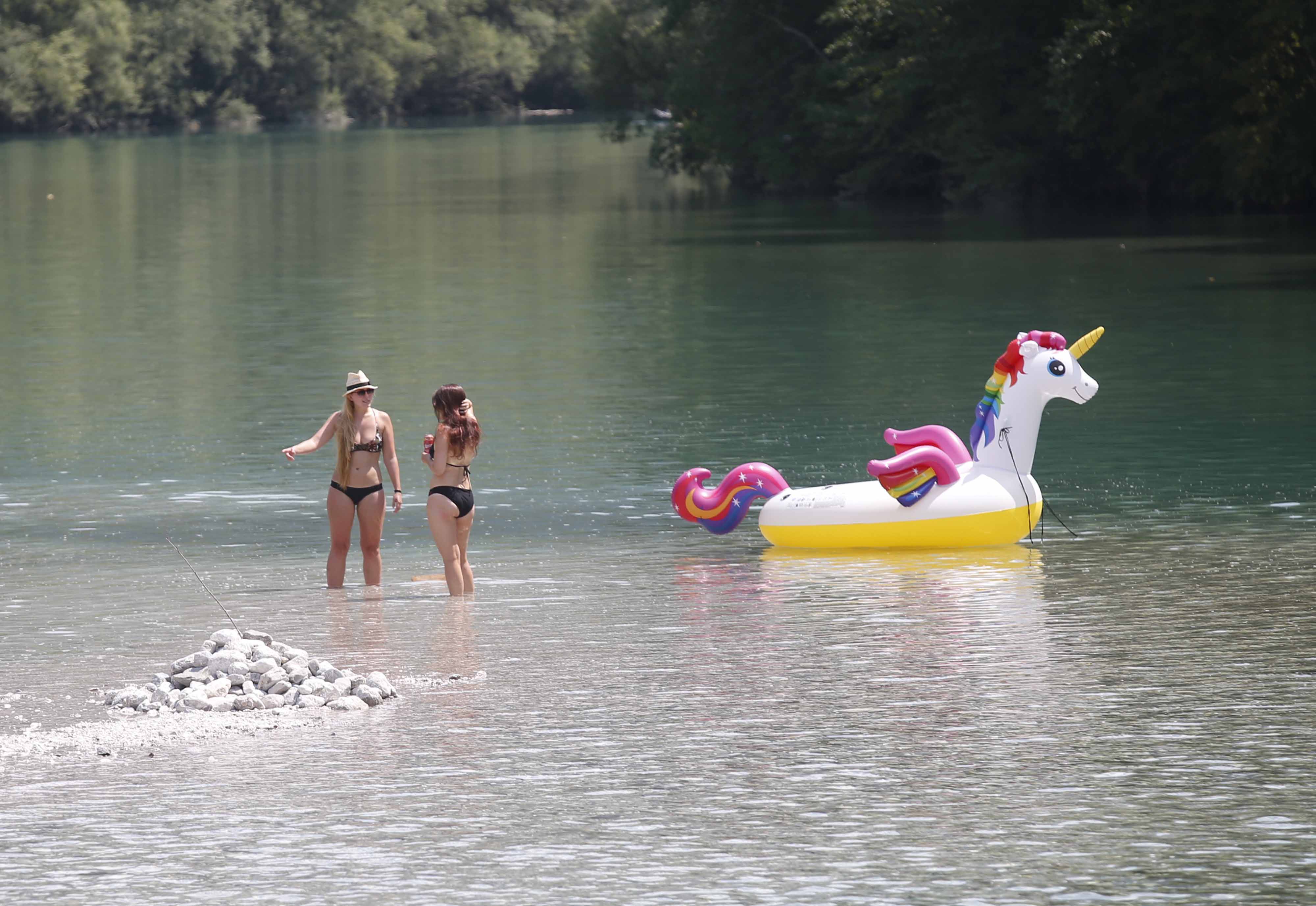 Borut Živulović/BOBO