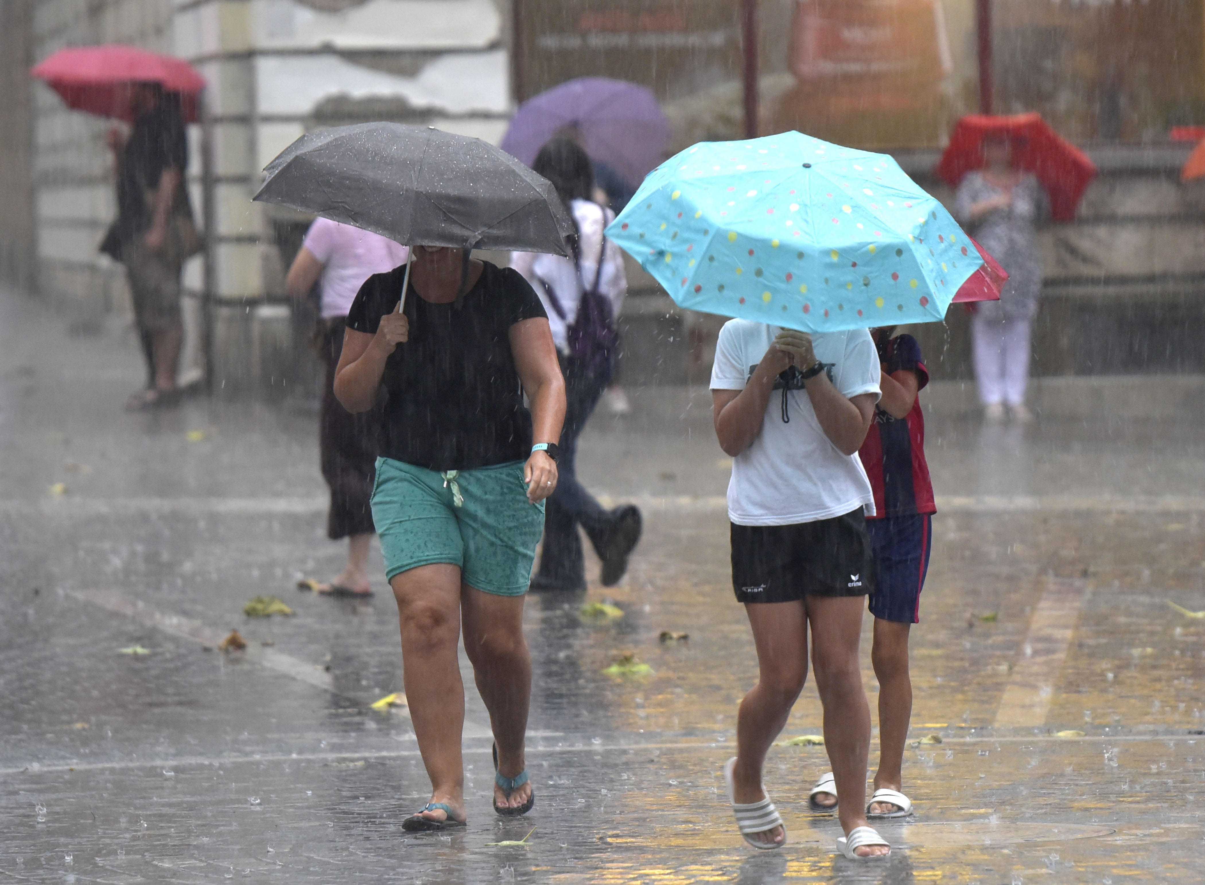 Dež nevihta vreme narava