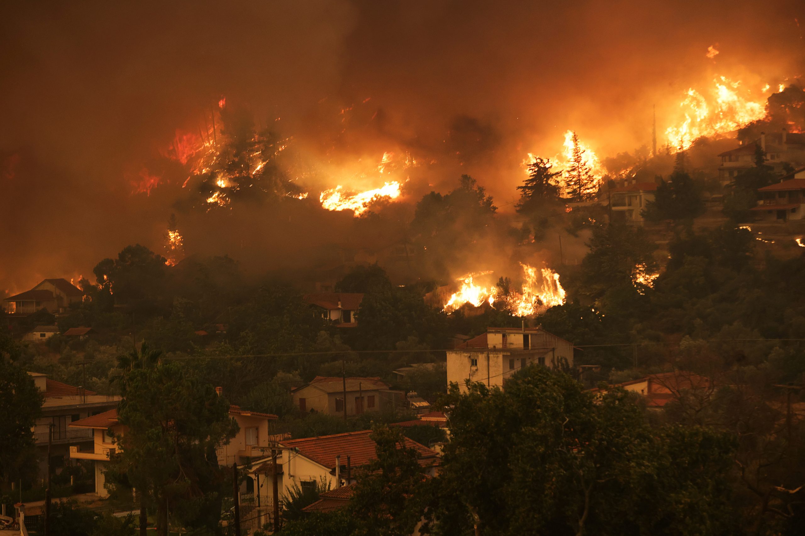 1628446274-2021-08-08T144251Z_1128458525_RC211P9Q7UKW_RTRMADP_3_GREECE-WILDFIRES-scaled.jpg