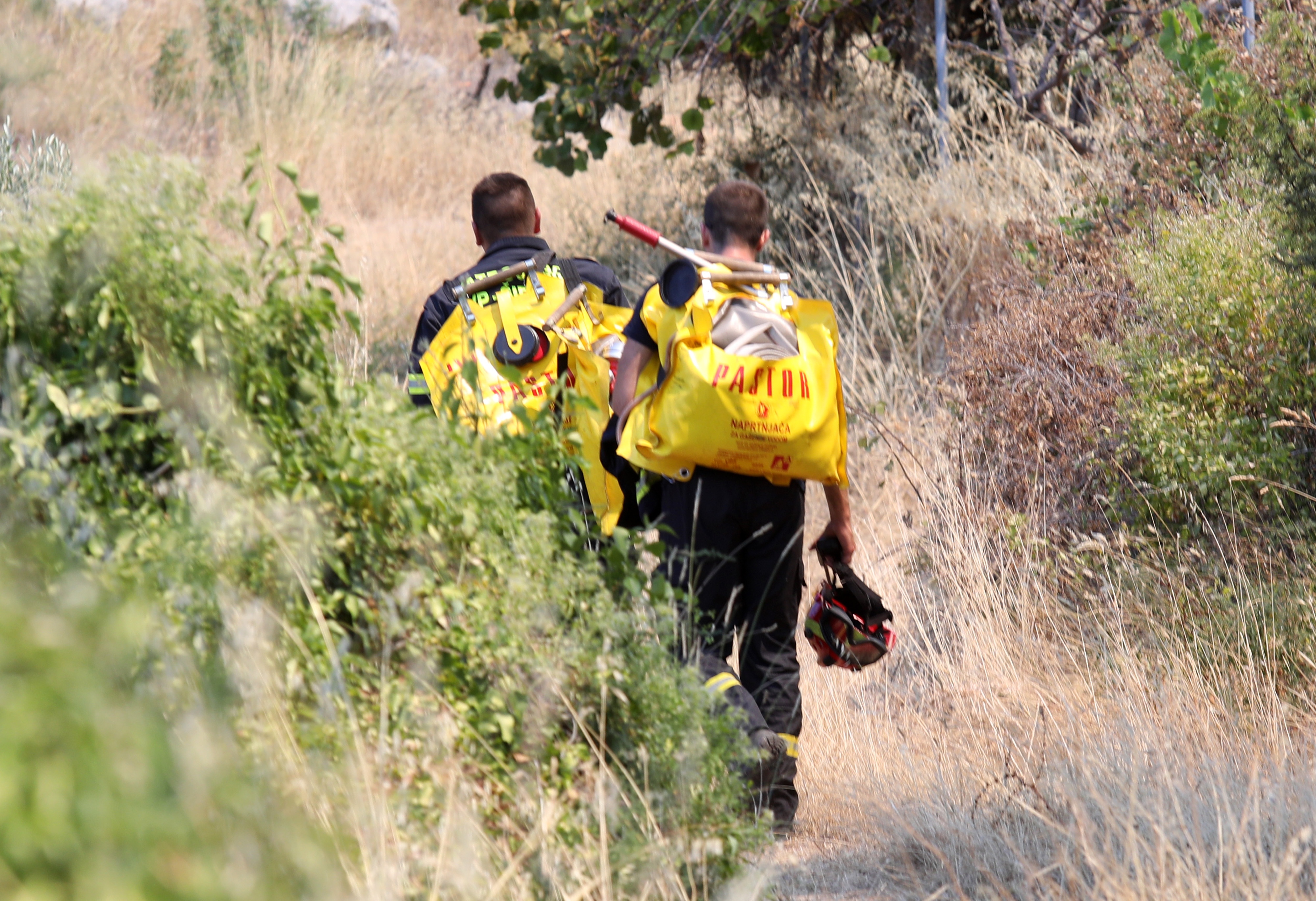 Duško Jaramaz/PIXSELL/BOBO
