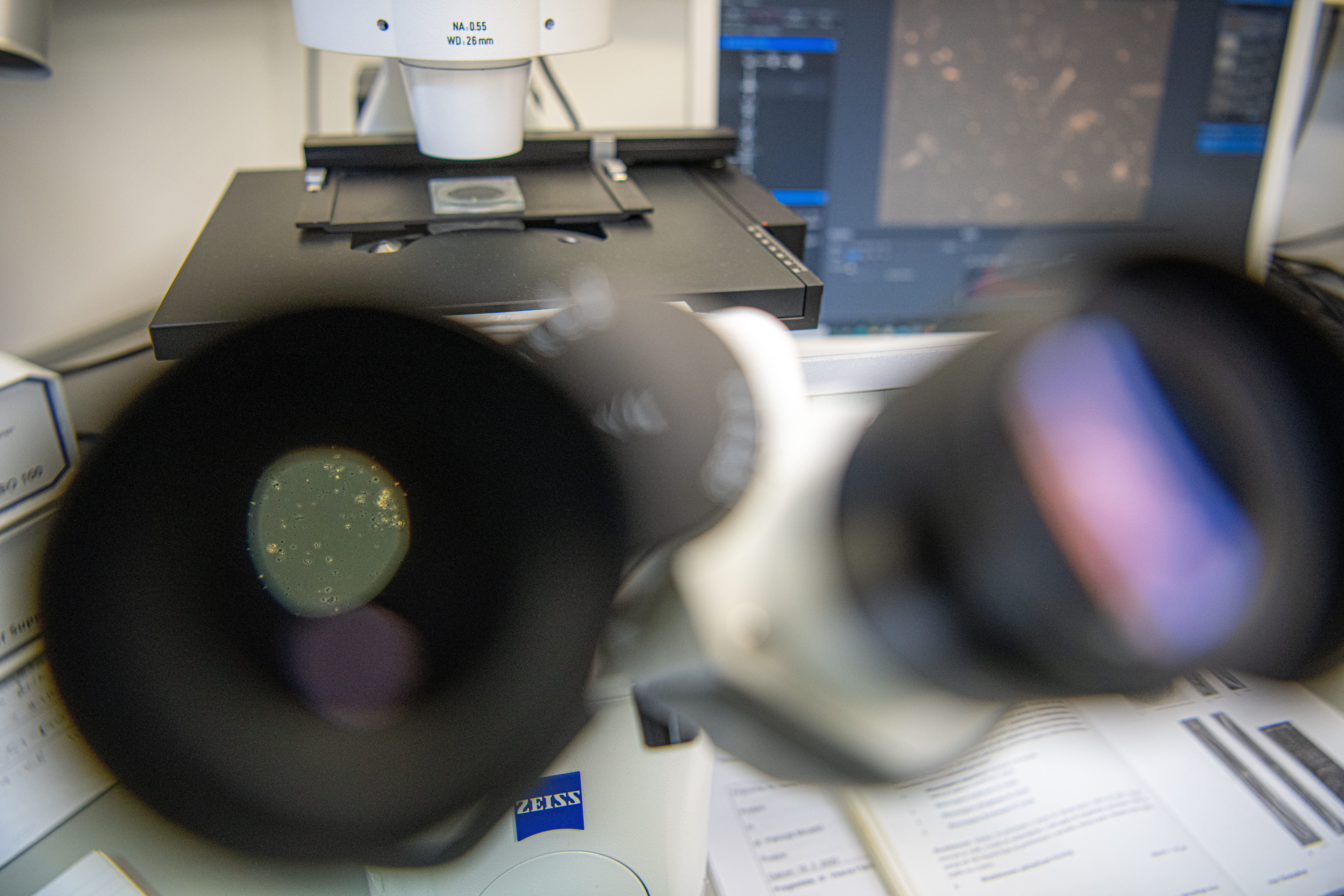 Morska biološka postaja Piran, laboratorij, raziskave