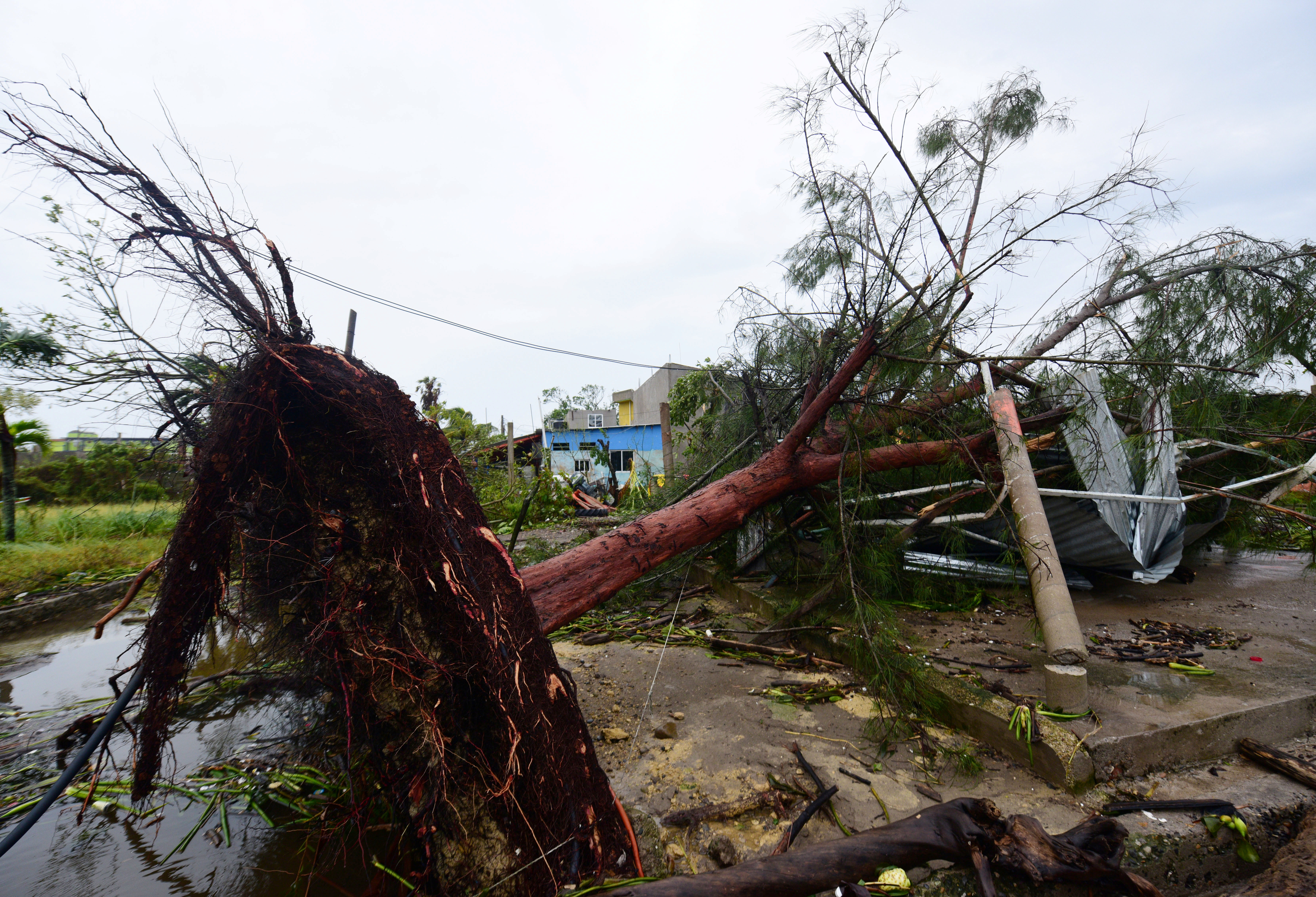 Oscar Martinez/REUTERS