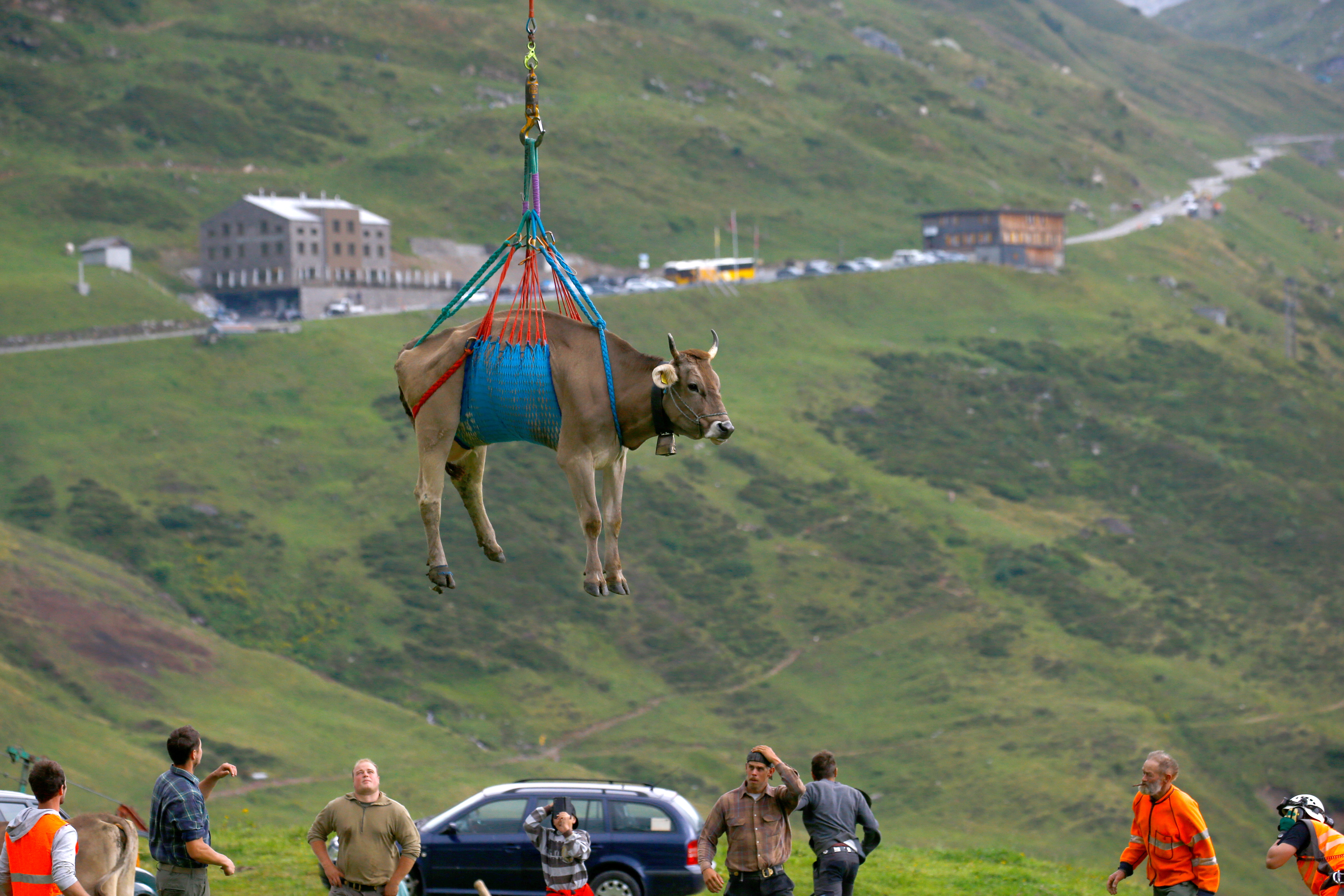 Reuters/Arnd Wiegmann