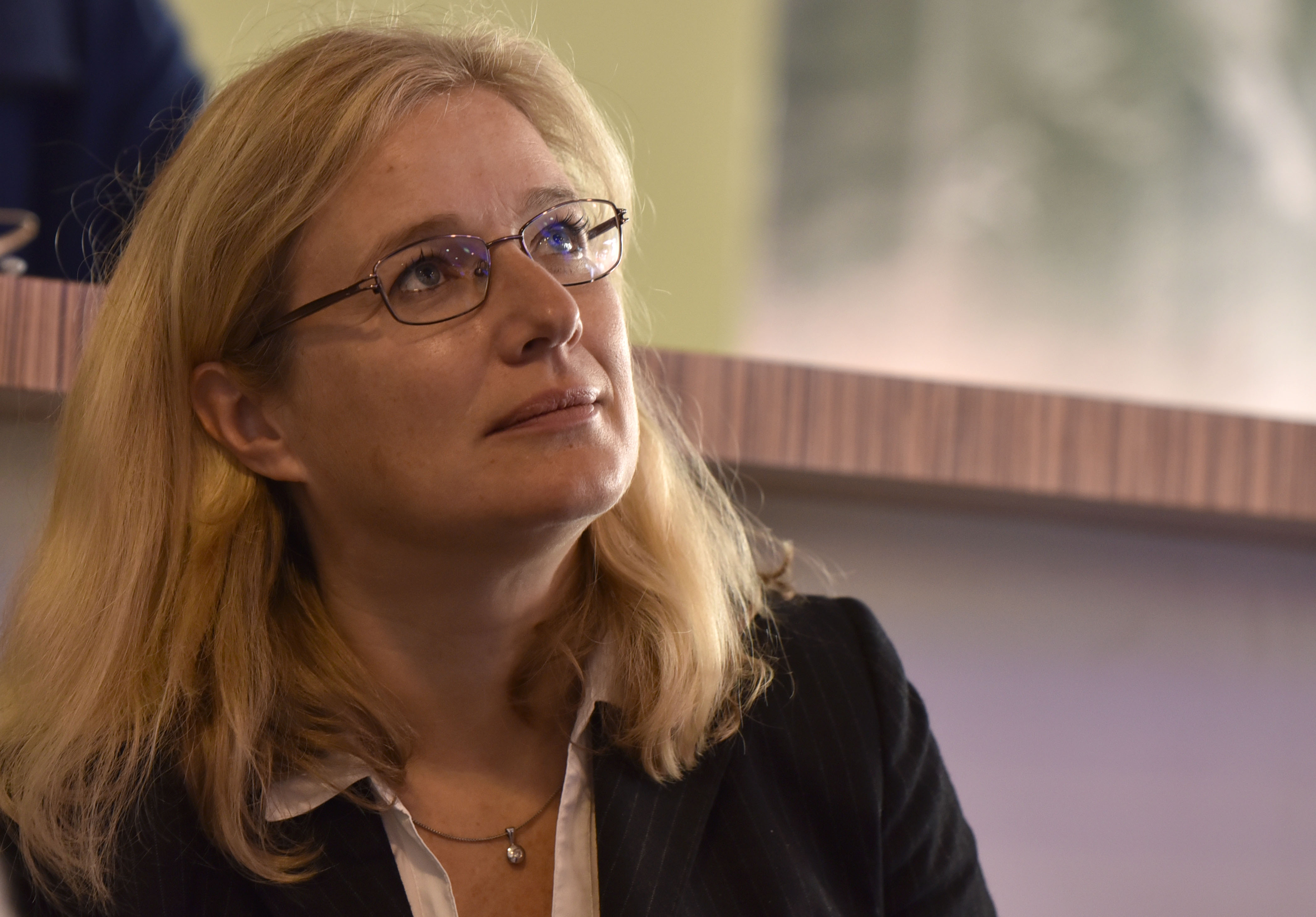 manica janežič ambrožič