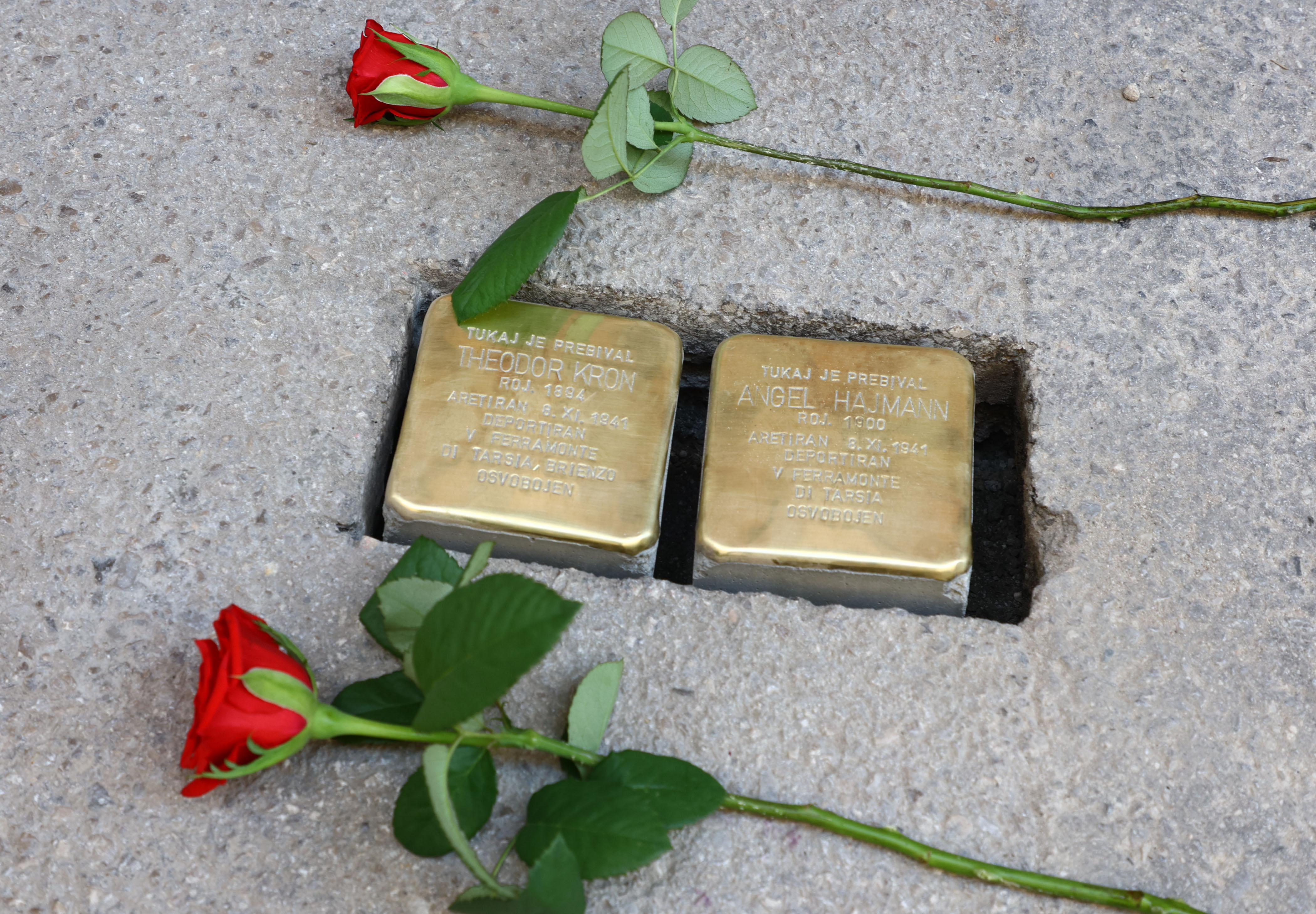 spotikavci, žrtve holokavsta