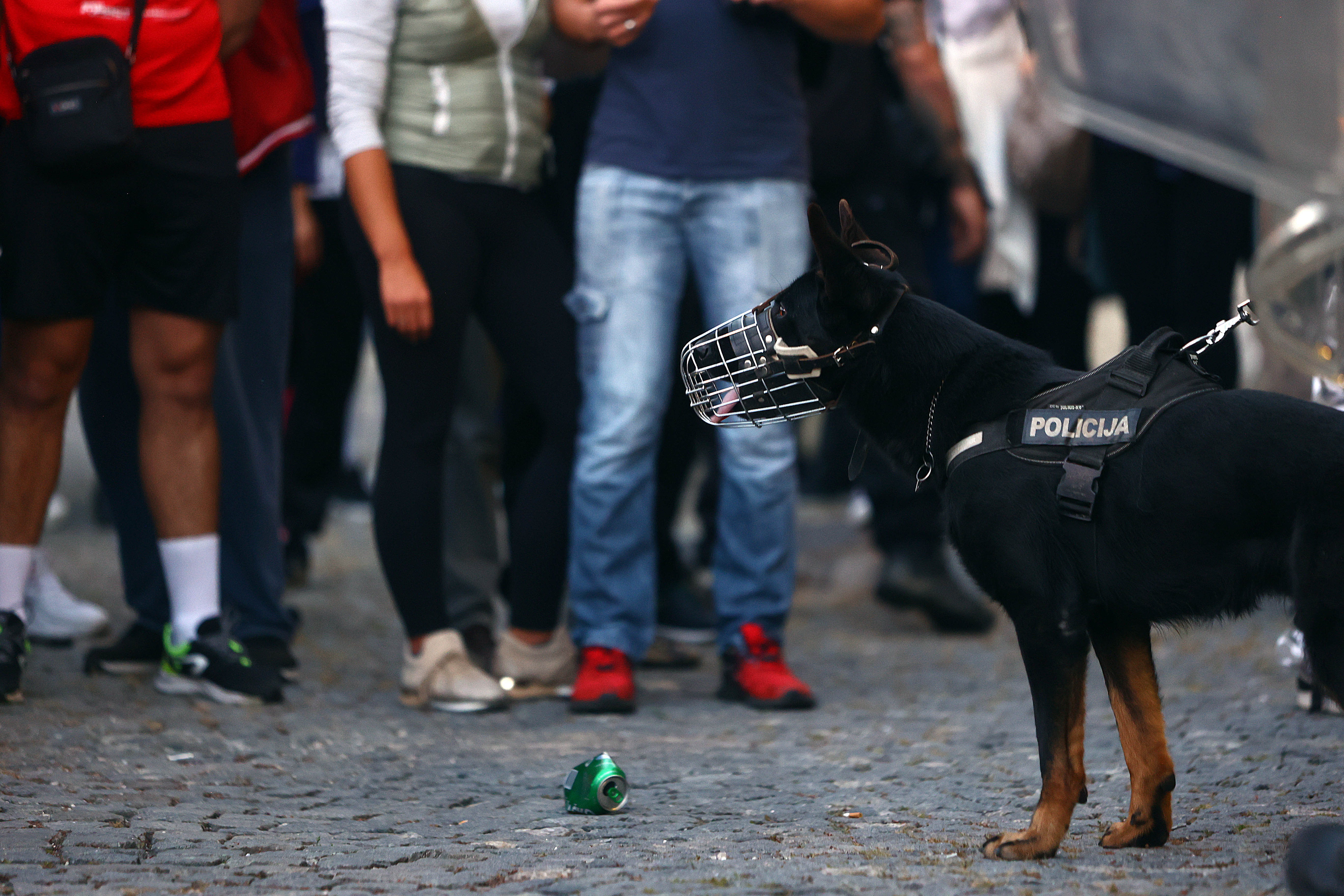 Borut Živulovič /Bobo