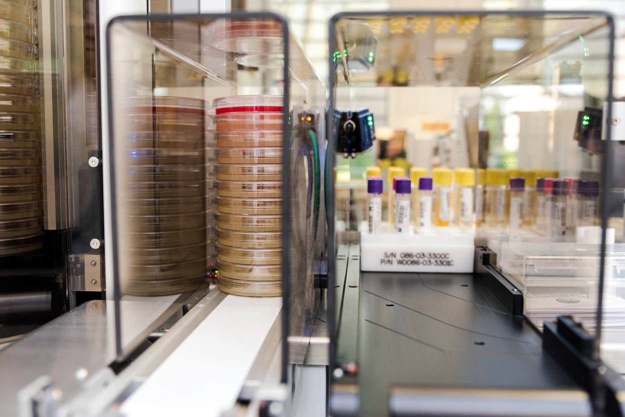 covid-19, podatki, okužbe