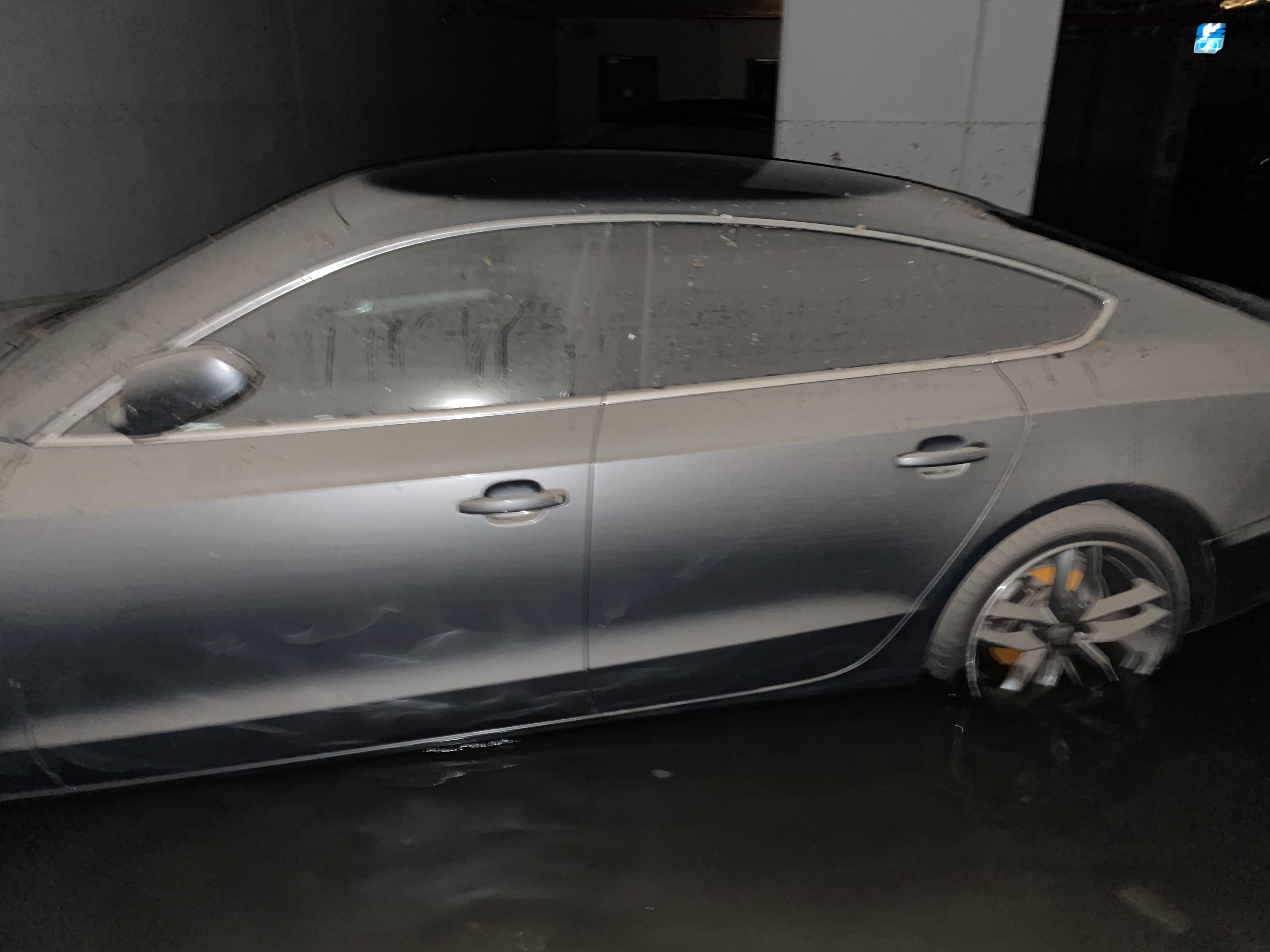 Gasper.repina/INSTAGRAM