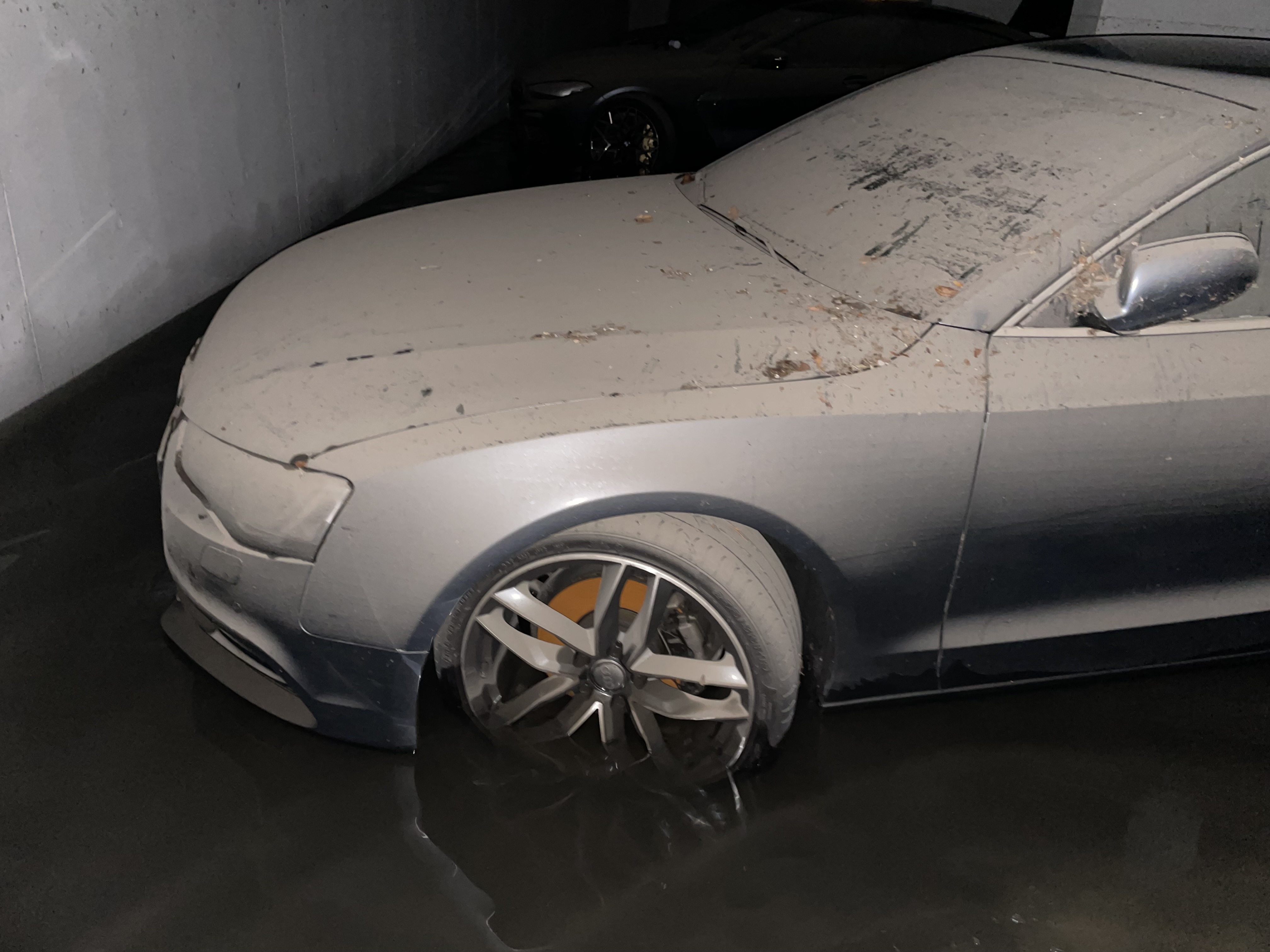 Gasper.repina/INSTAGRAM