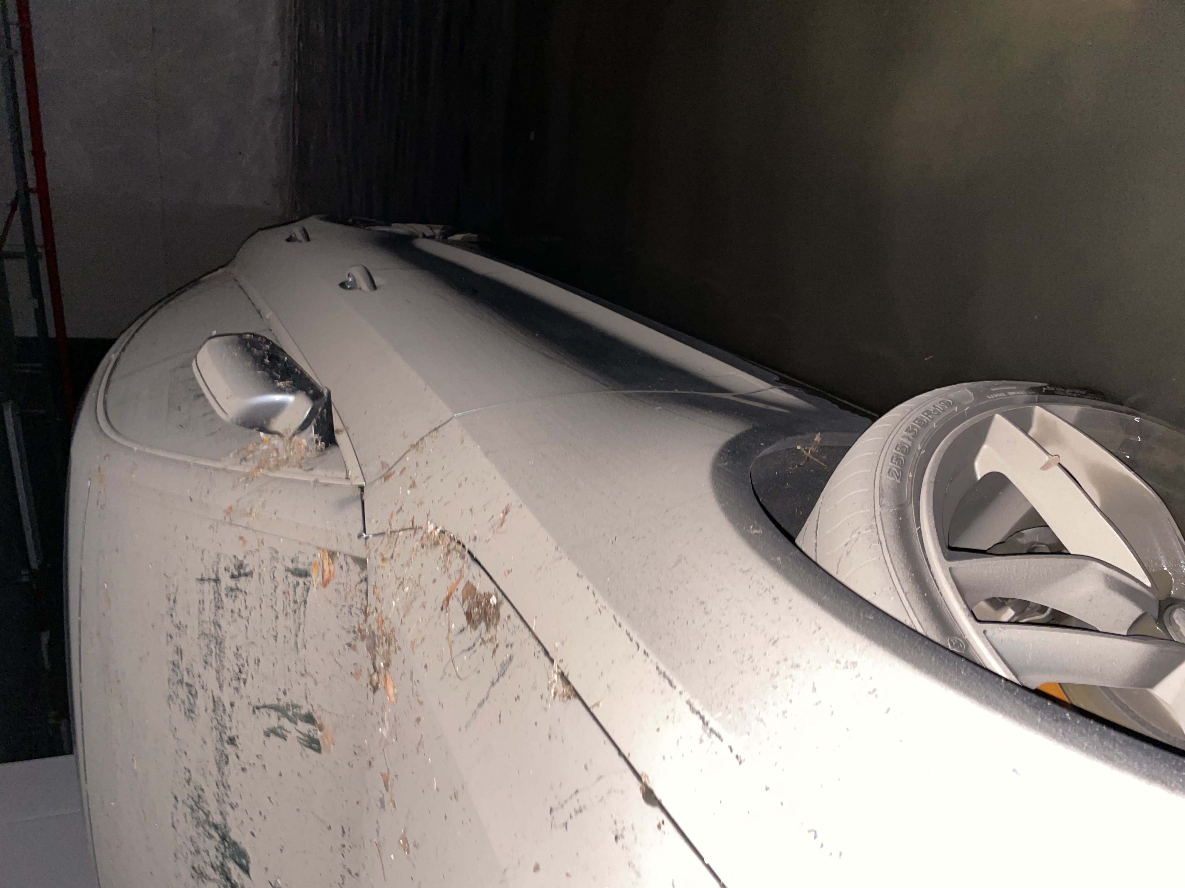 Gasper.repina/INSTAGRAM