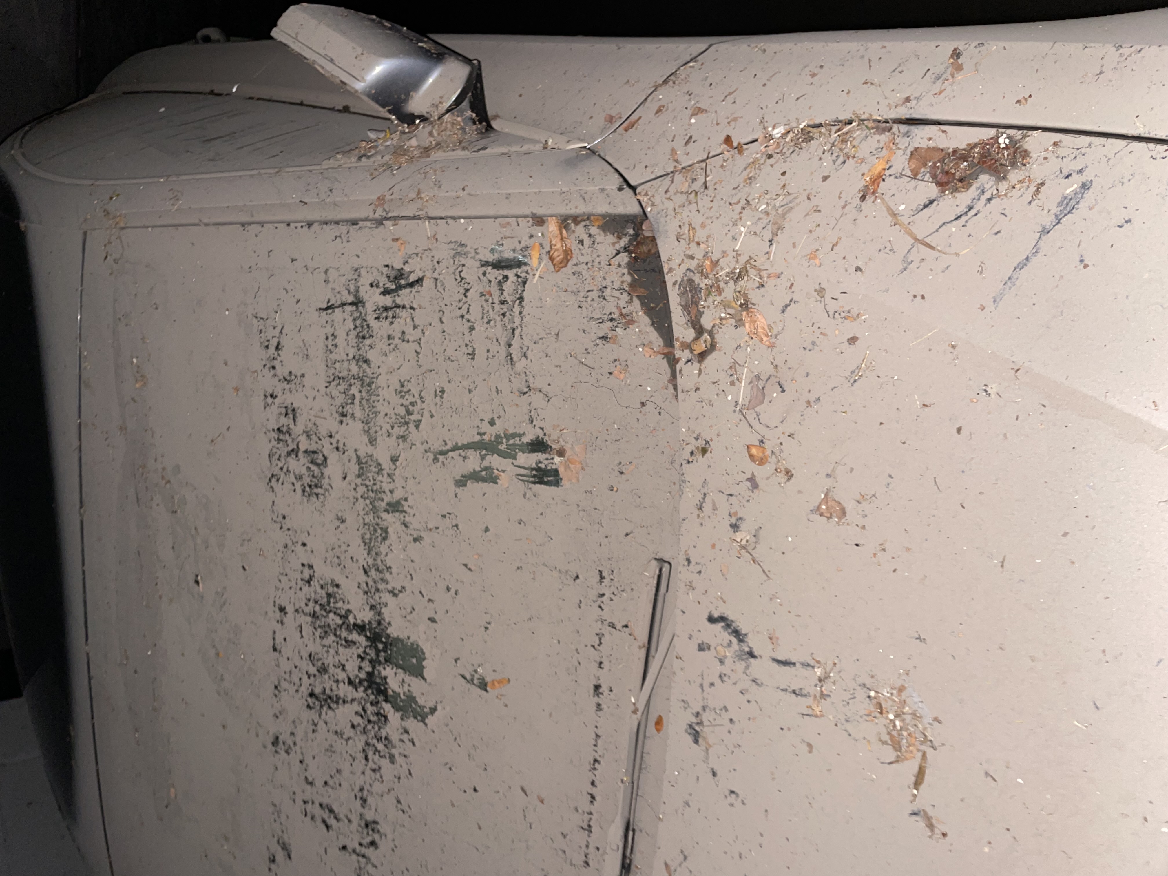 Gasper.repina/INSTAGRAM