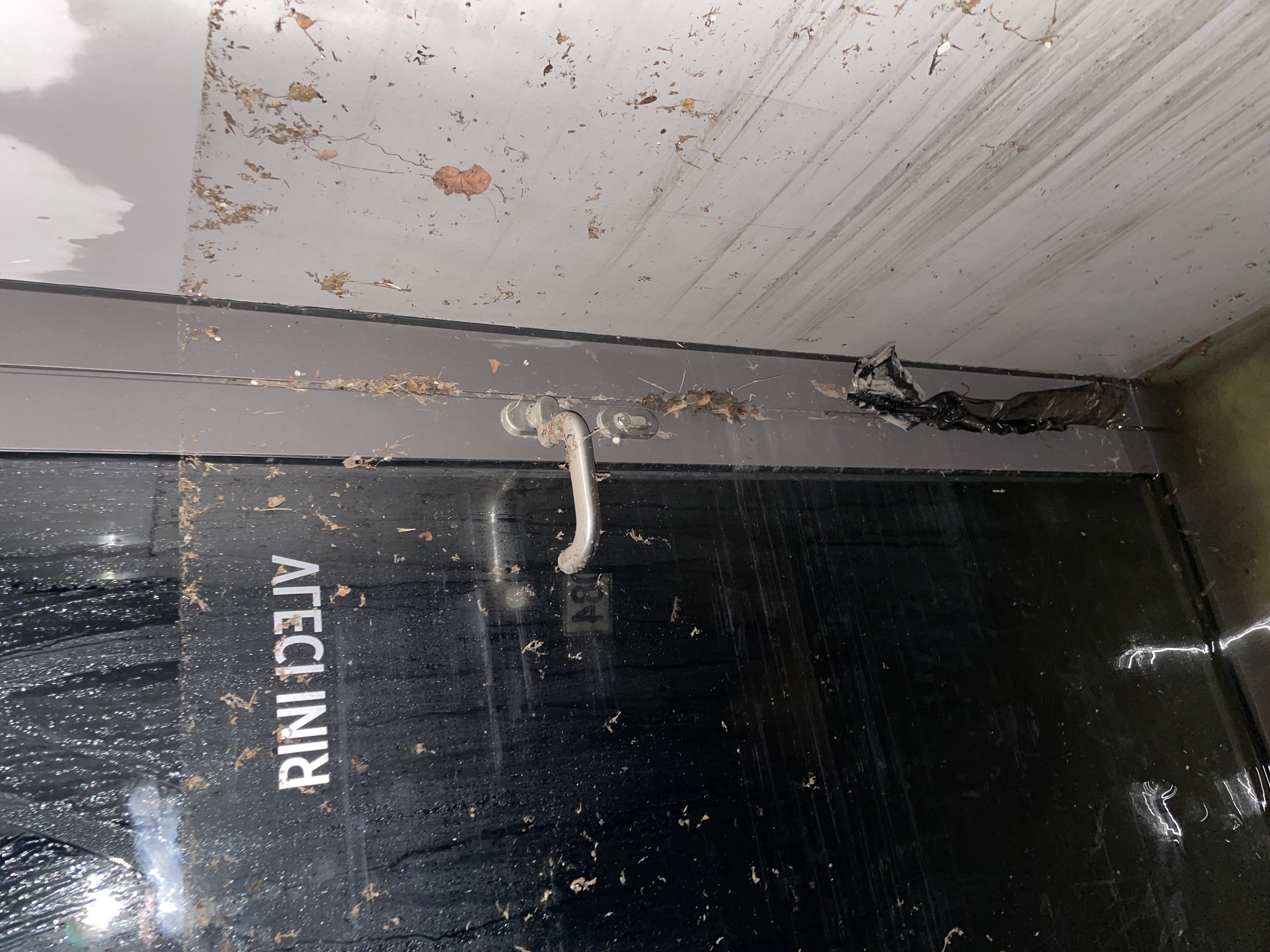 Gasper.repina/INSTAGRAM