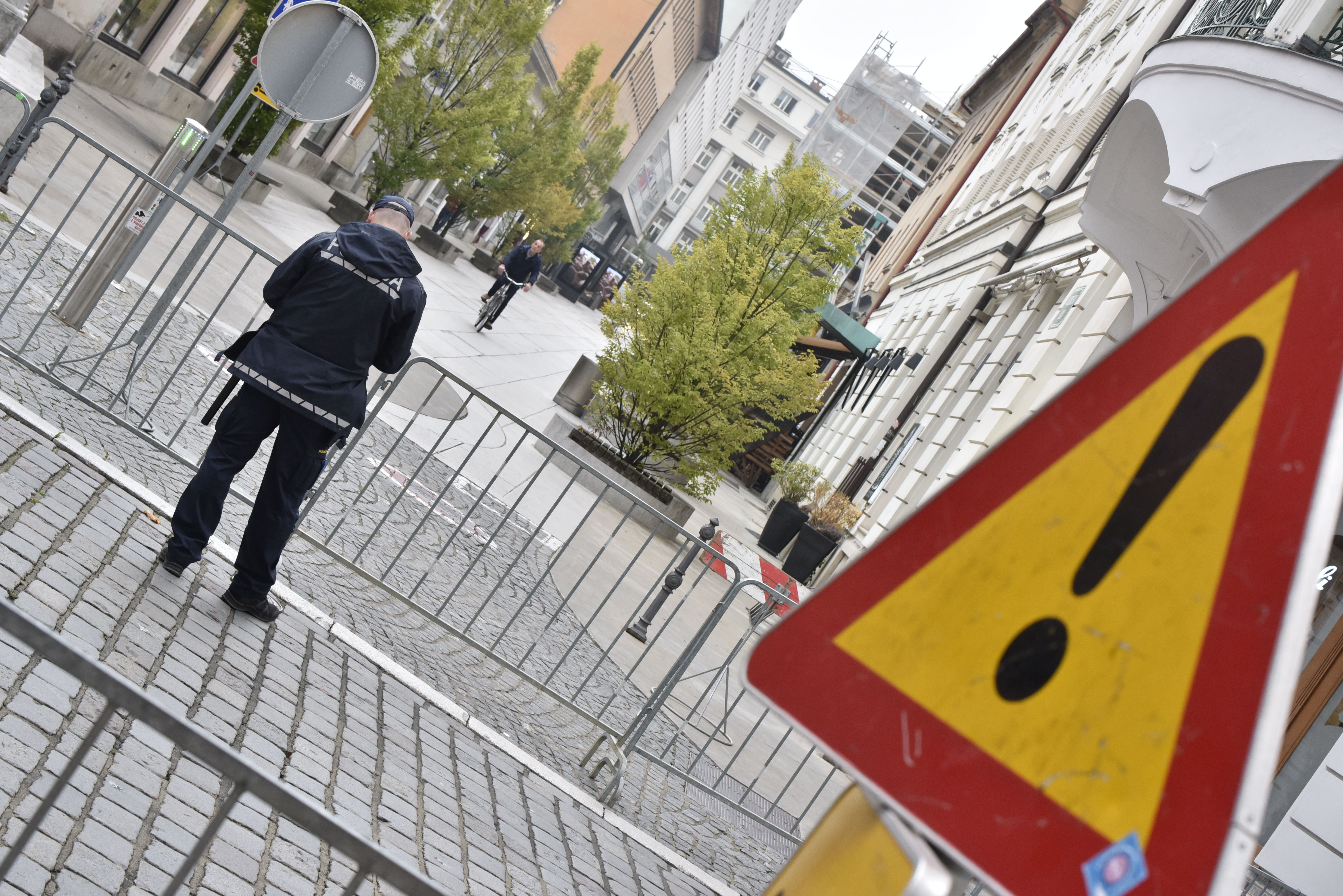 Žiga Živulović jr. /BOBO