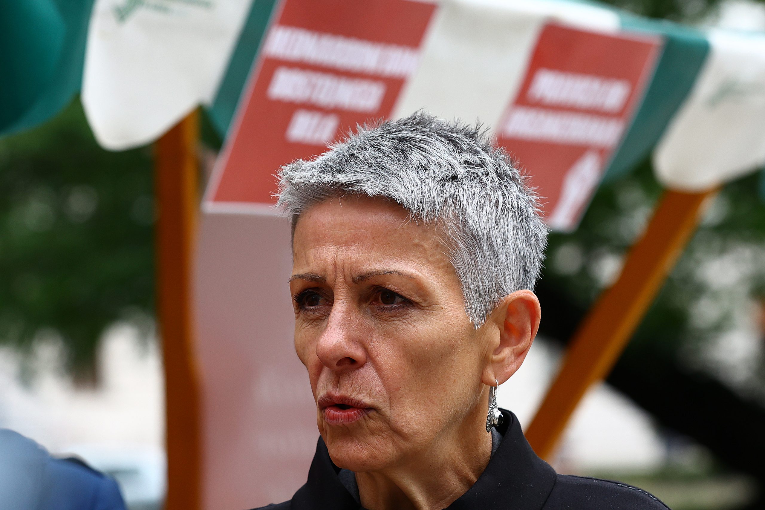 Borut Živulović/ BOBO