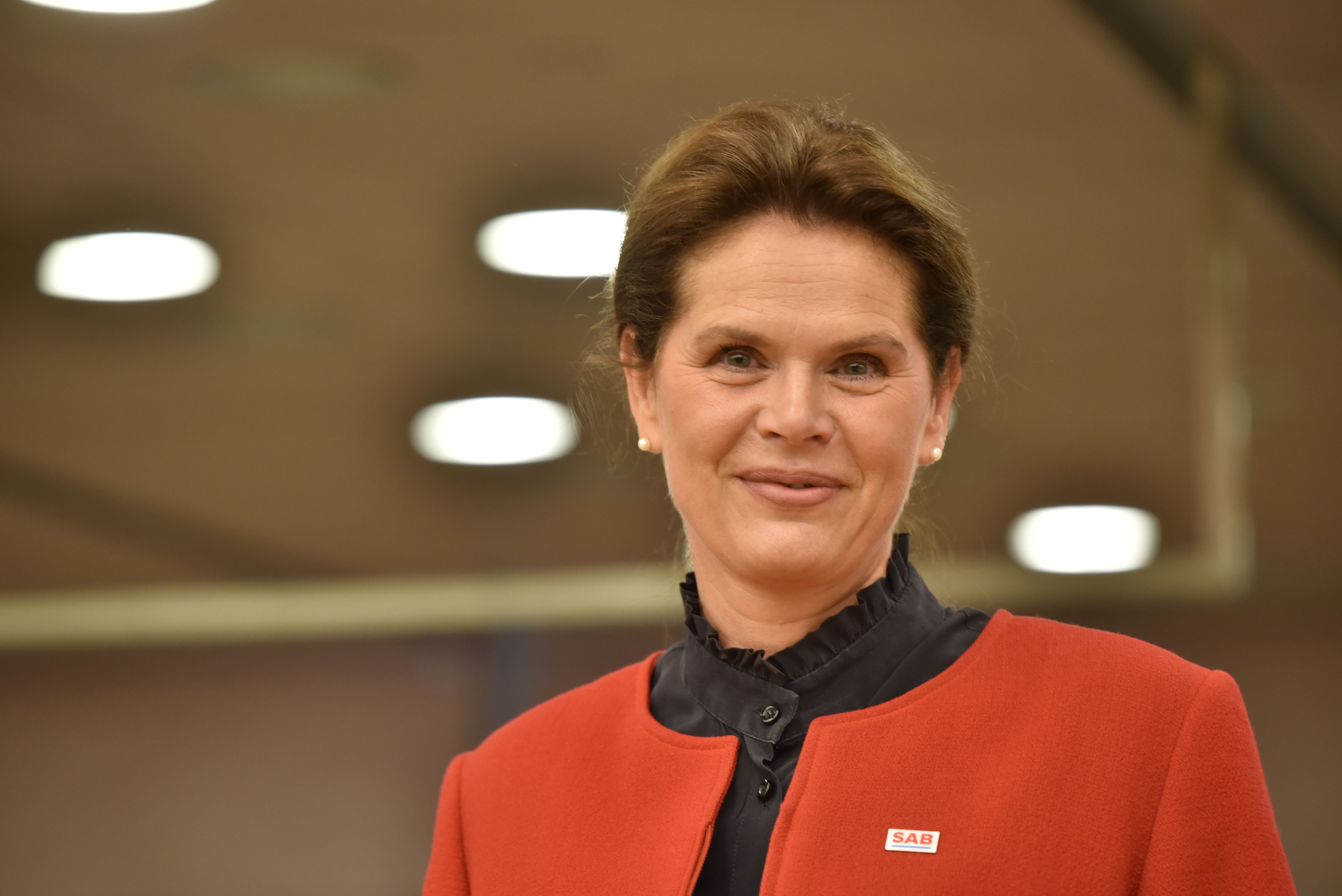 alenka, bratušek, sab