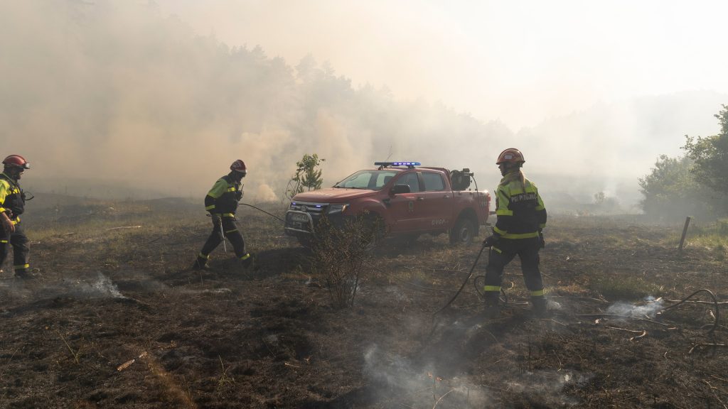 (Fotografija je simbolična). Promocijske fotografije/Ford