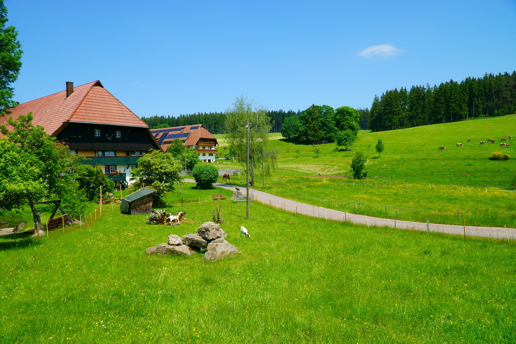 Kmetija, turistična kmetija, narava, travnik, kmetijstvo, turizem