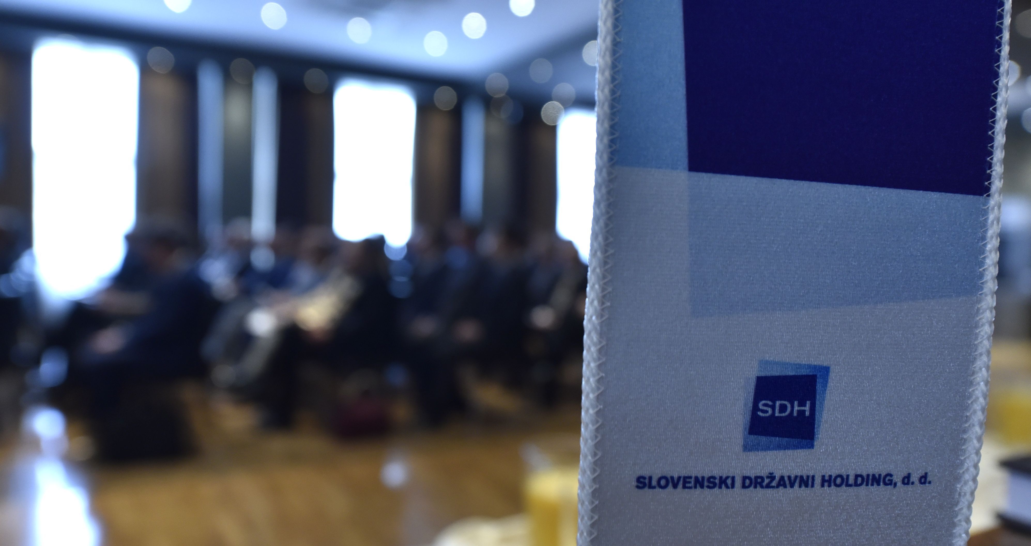 Letna konferenca SDH