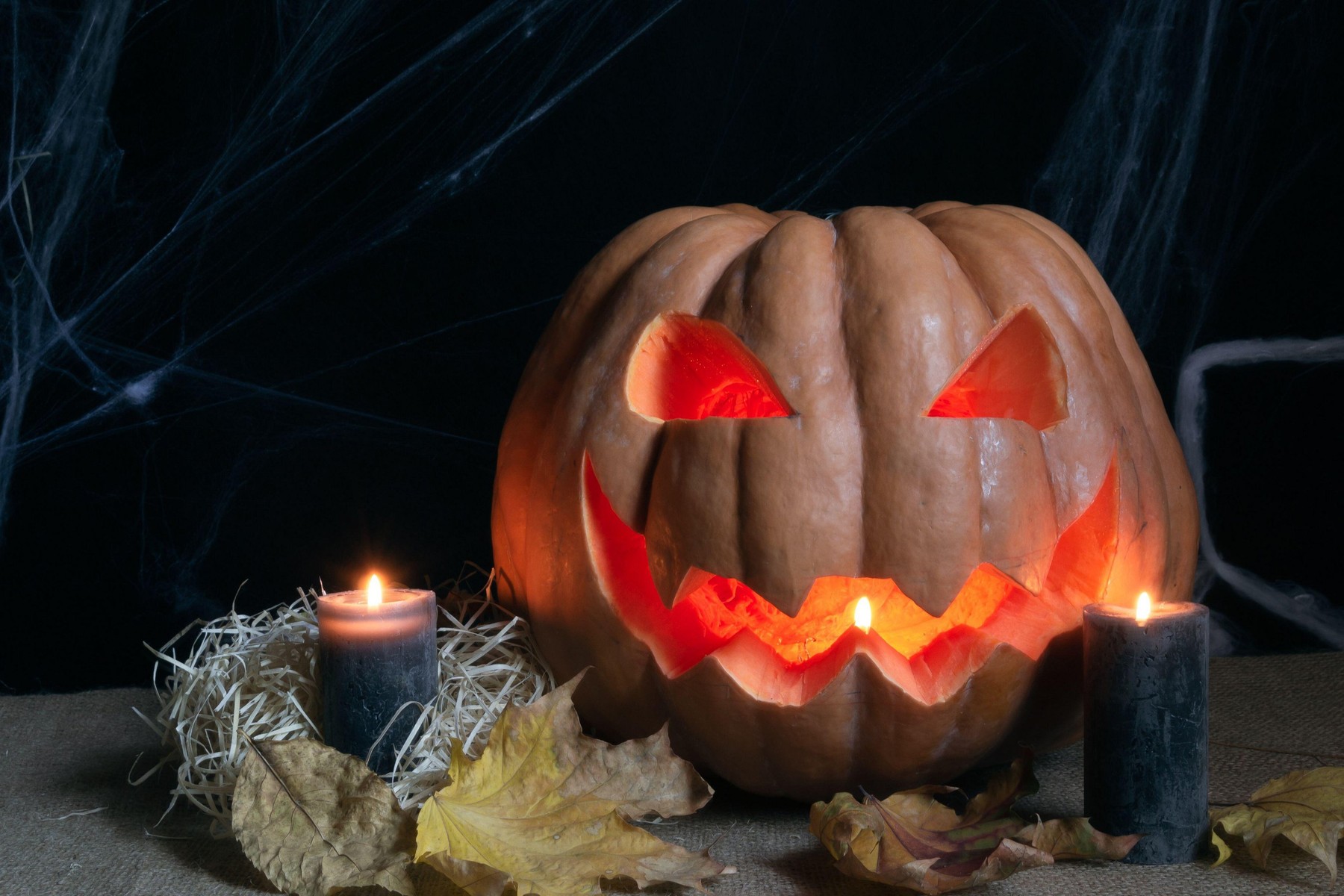 noč čarovnic, buča, halloween