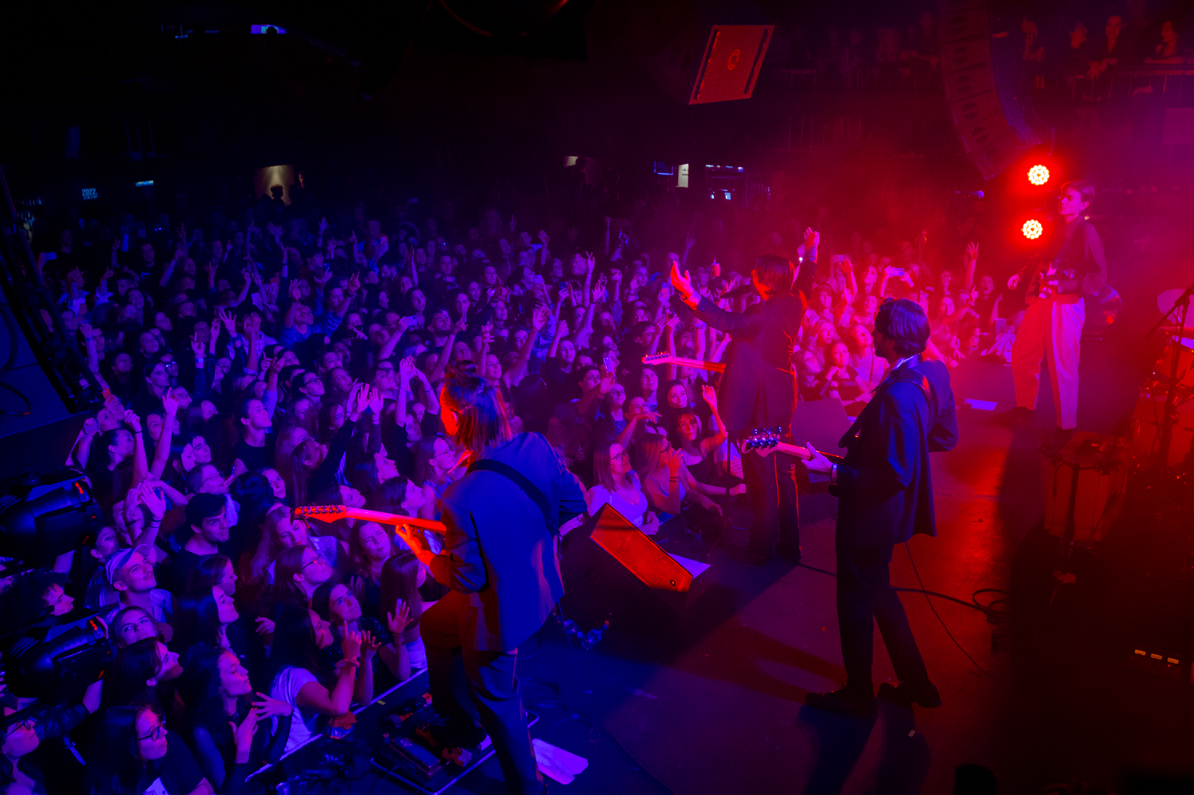 zabava, nočni klub, cvetličarna,