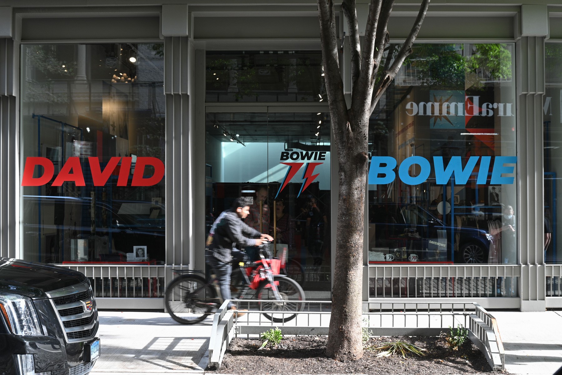 bowie shop