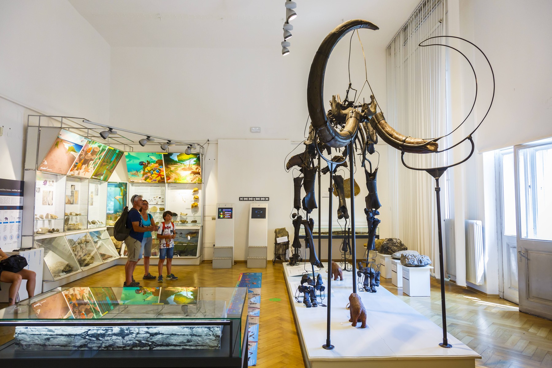 Slovenski prirodoslovni muzej, Ljubljana, muzej