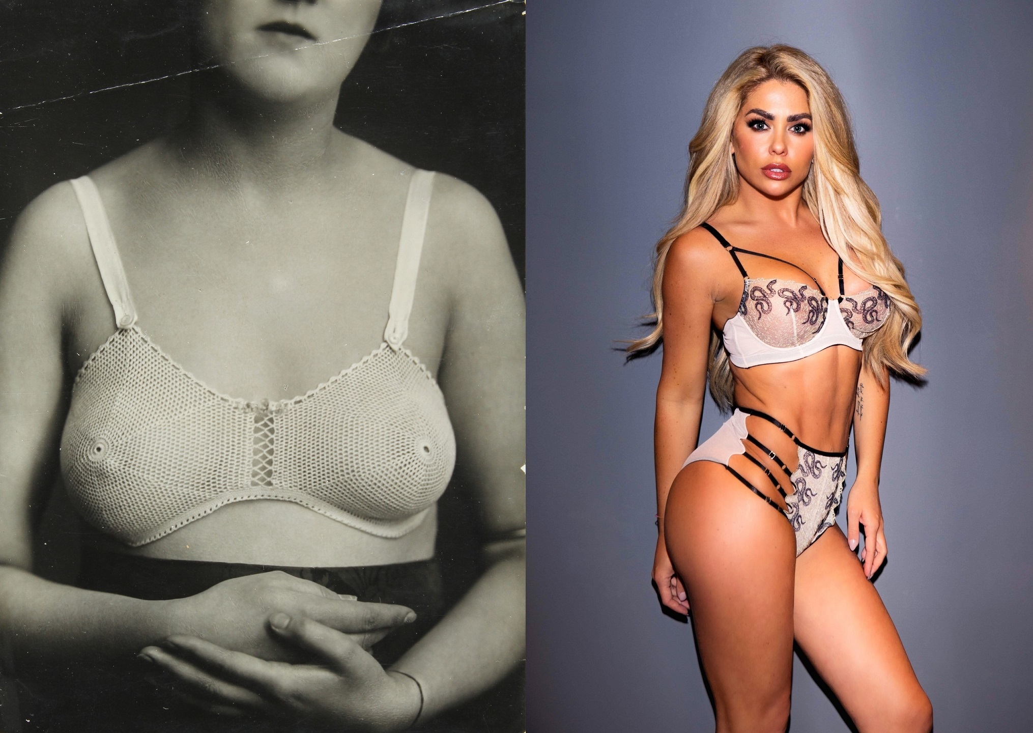 modrček praznuje, zgodovina modrčka