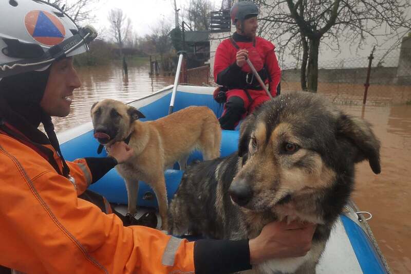 Federalna uprava Civilne zaščite