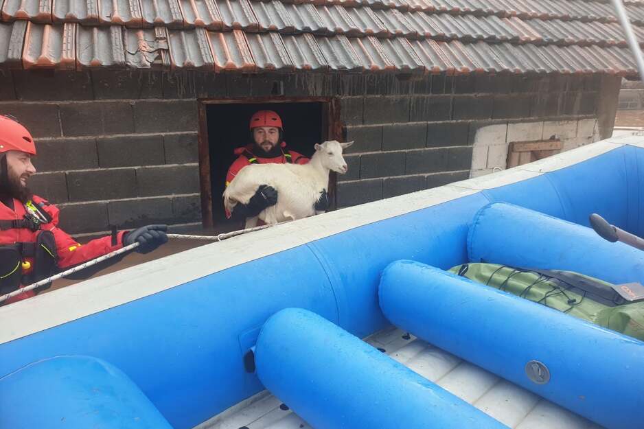 bih, živali, poplave