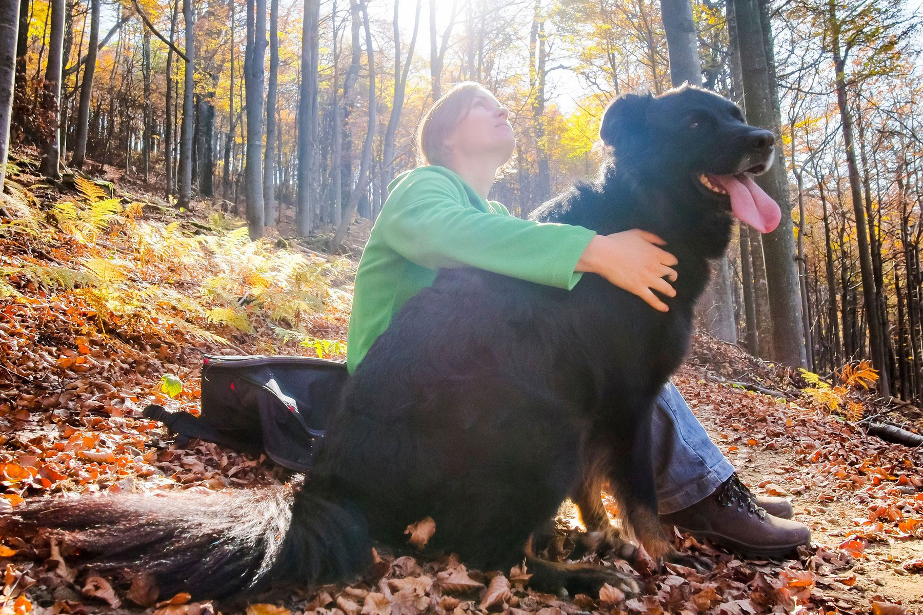 zenska, narava, pes, samota, tisina, gozd