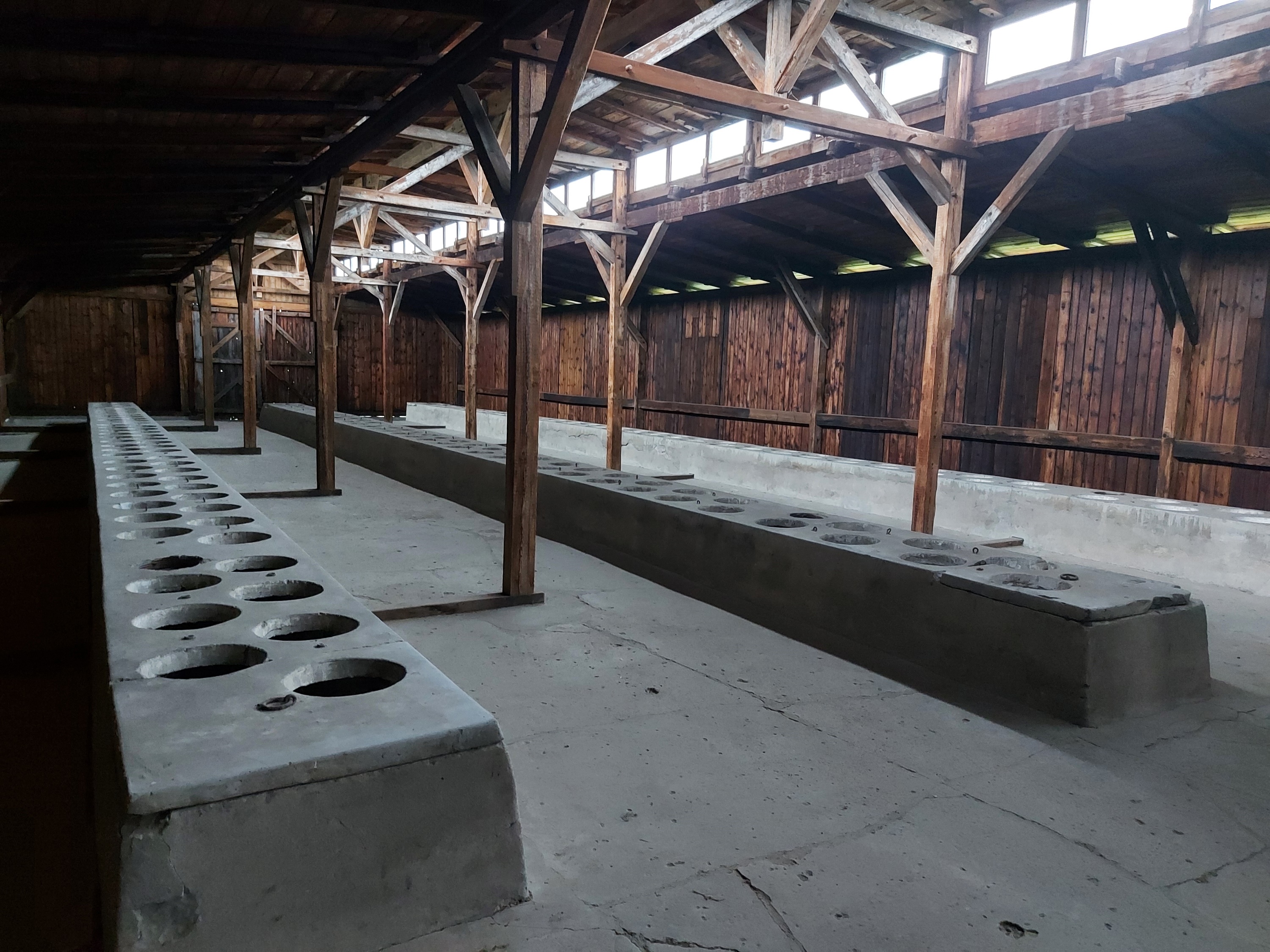 Igor Zorčič, Auschwitz